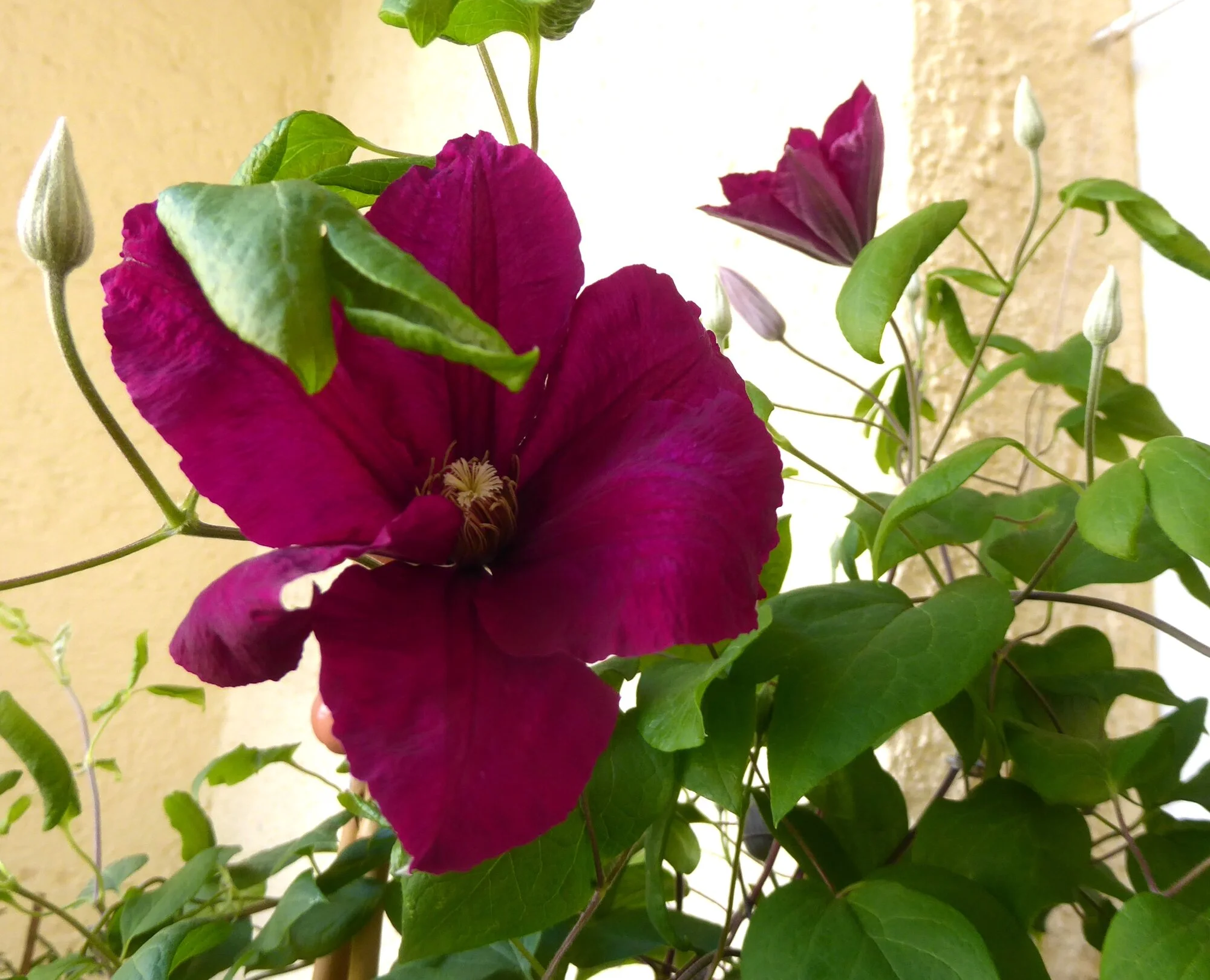 P1250329.webp