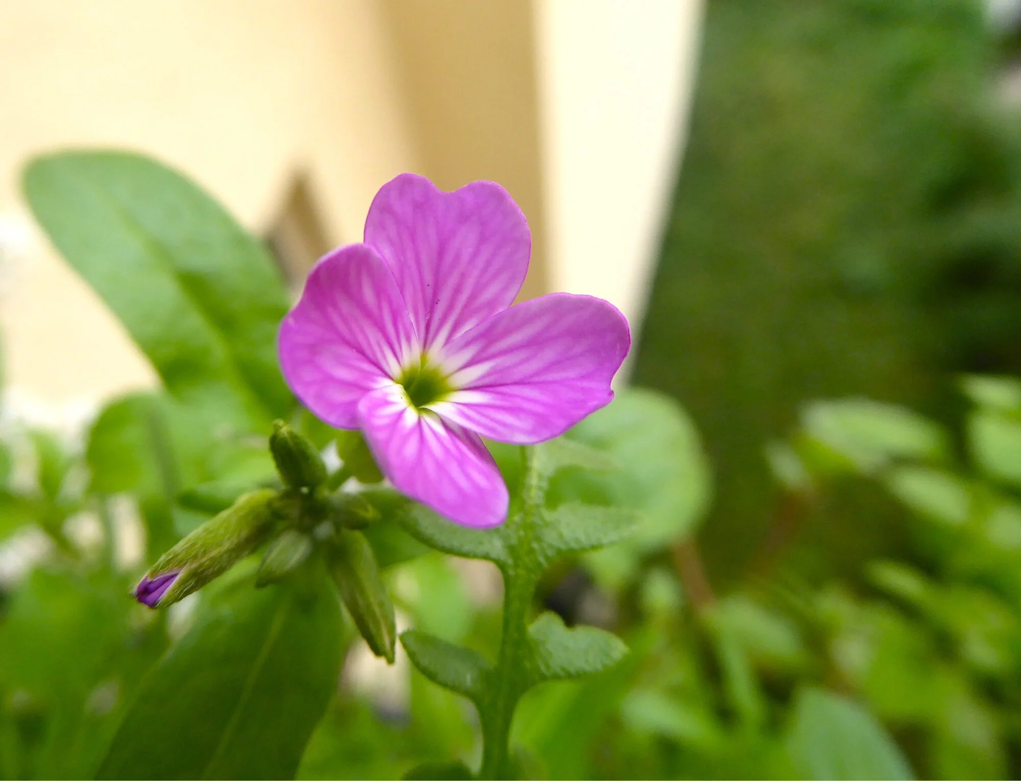 P1250381.webp