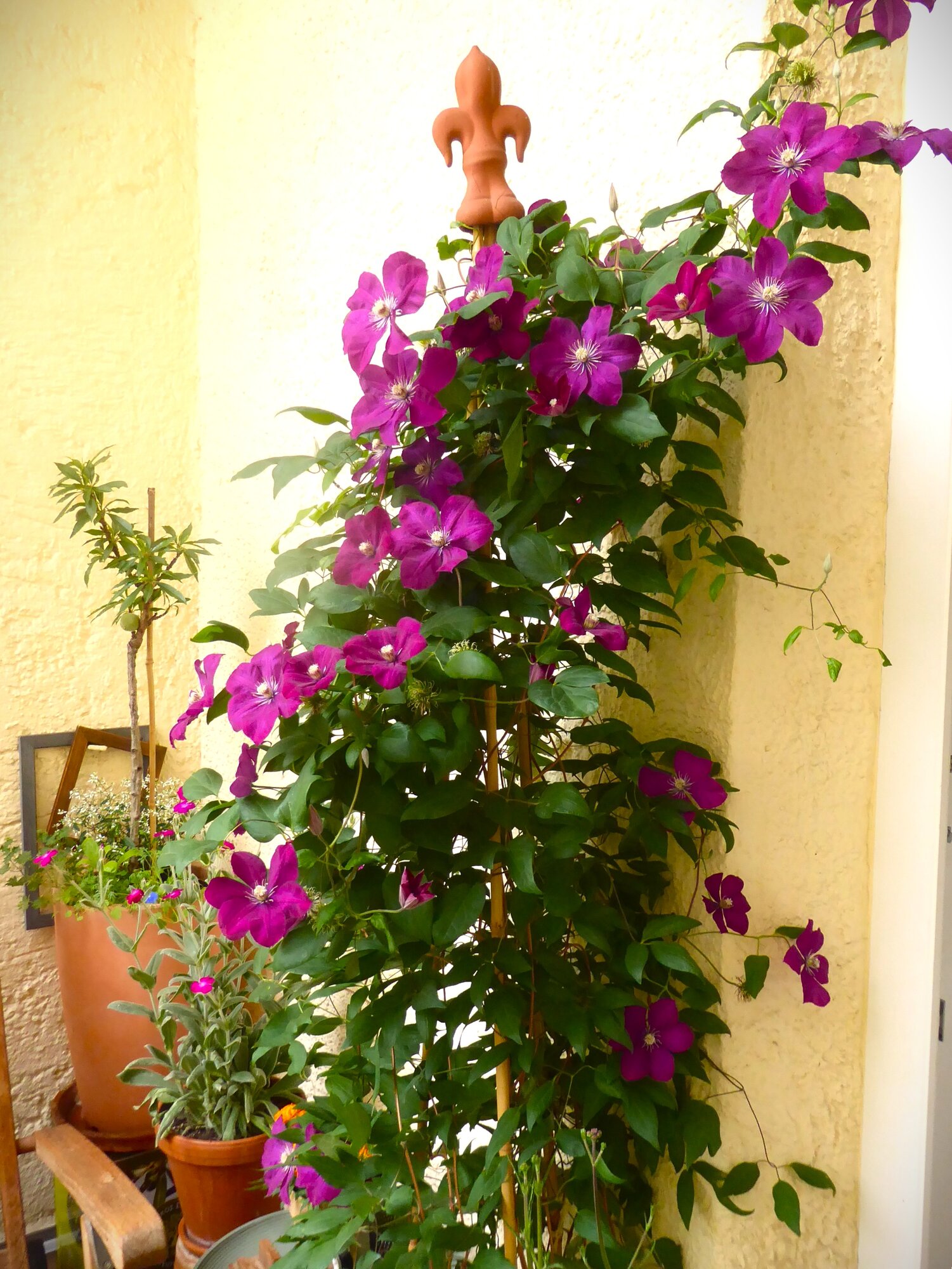 P1250556.JPG