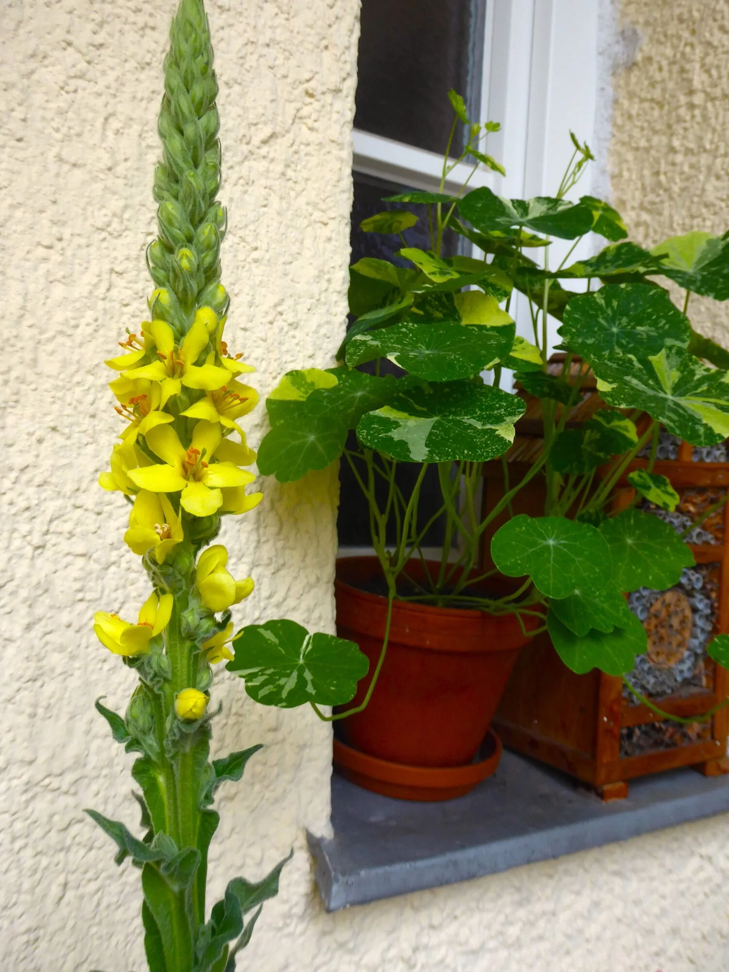 P1250558.webp