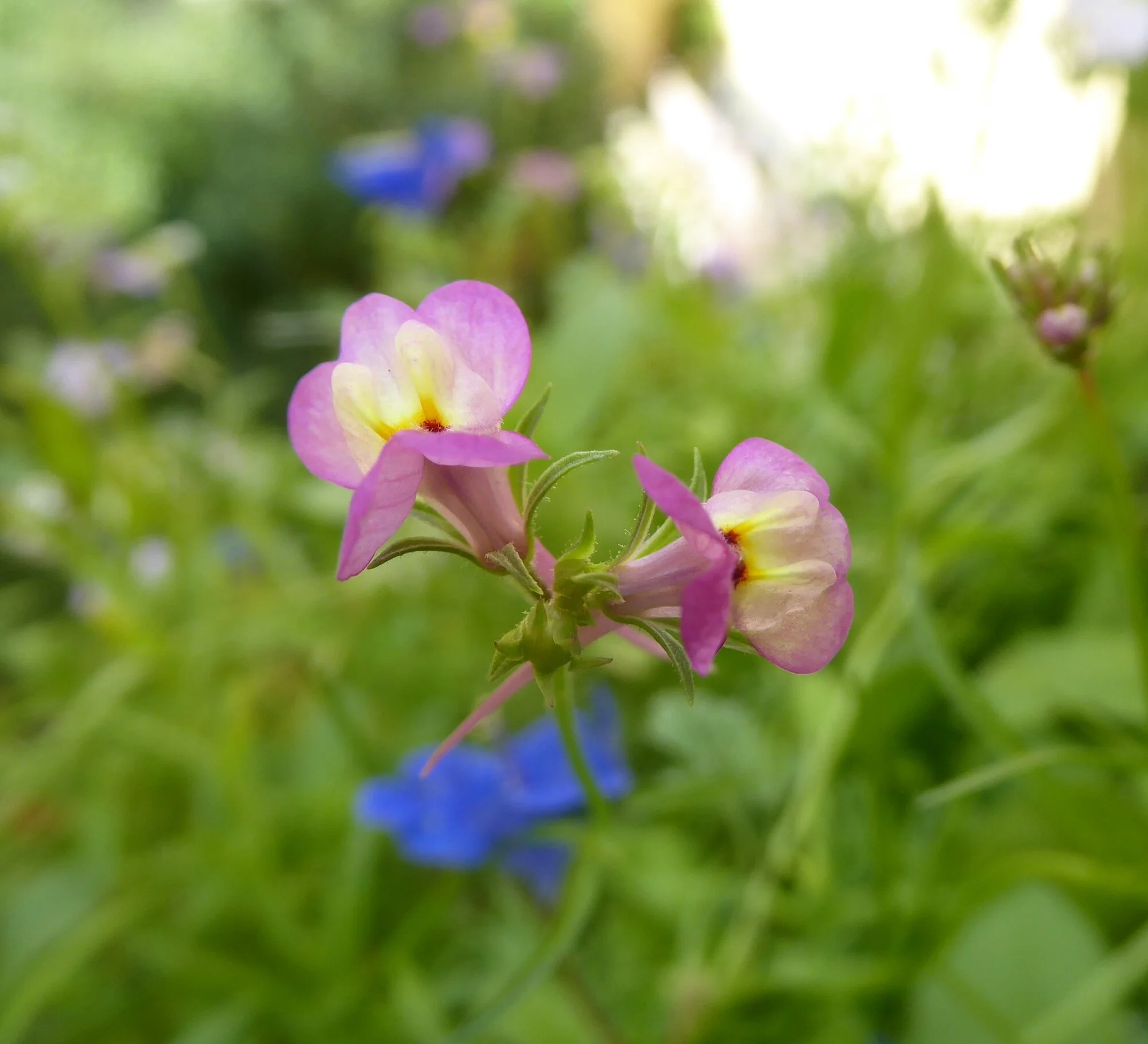 P1250571.webp
