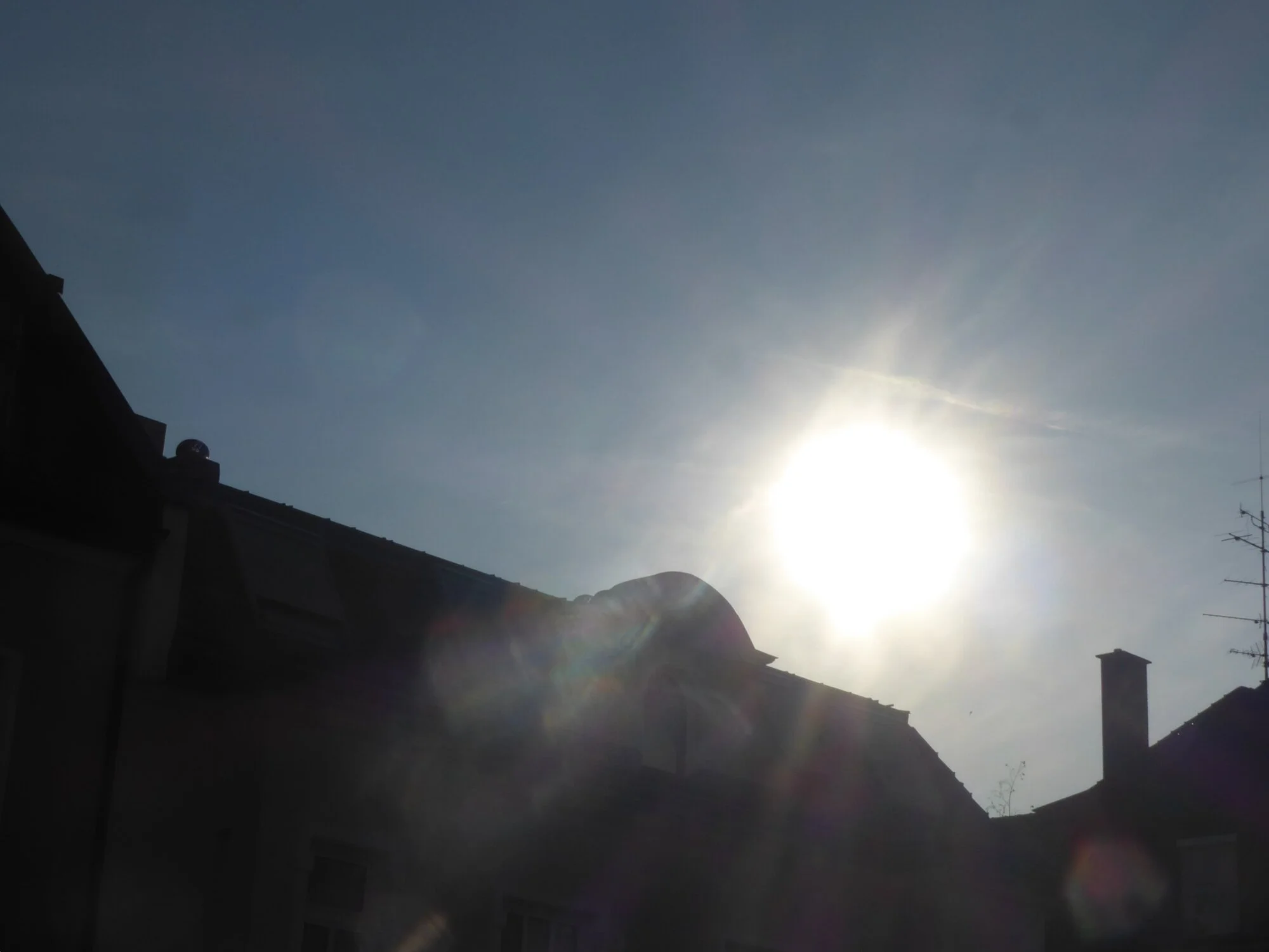 P1250621.webp