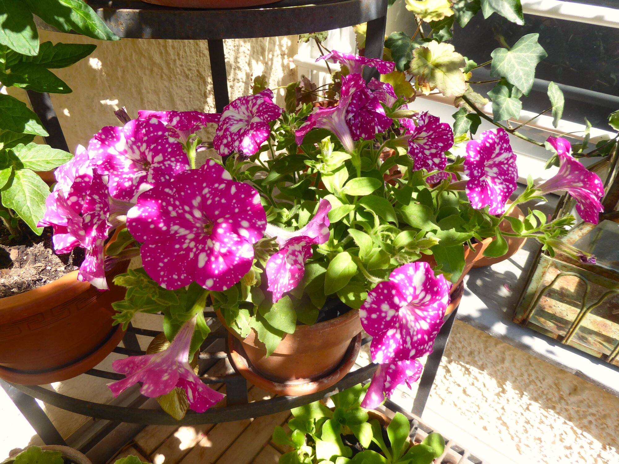 P1250638.JPG