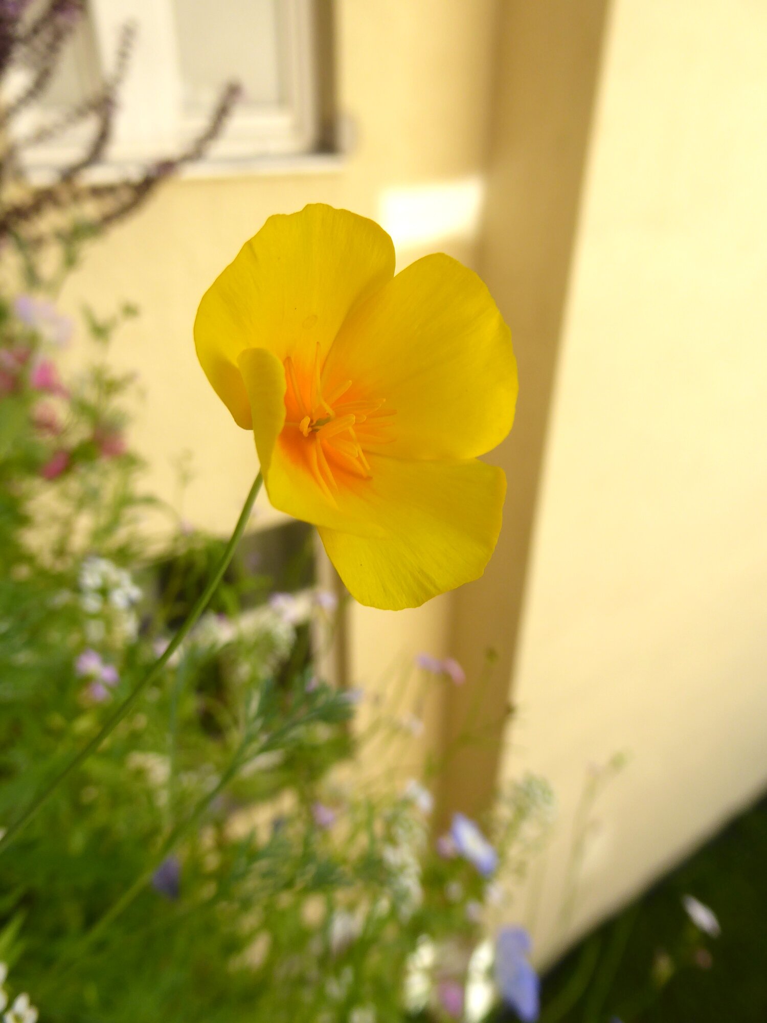 P1250656.JPG