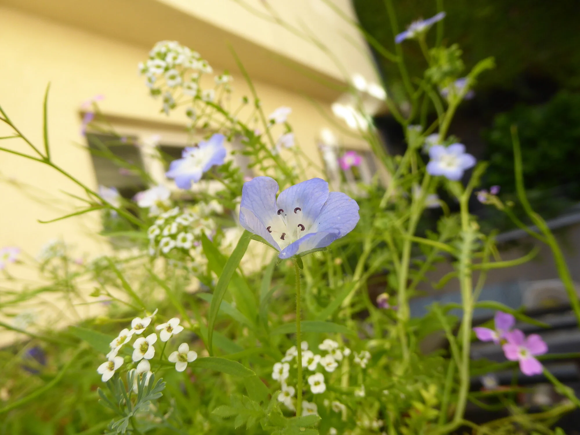 P1250661.webp