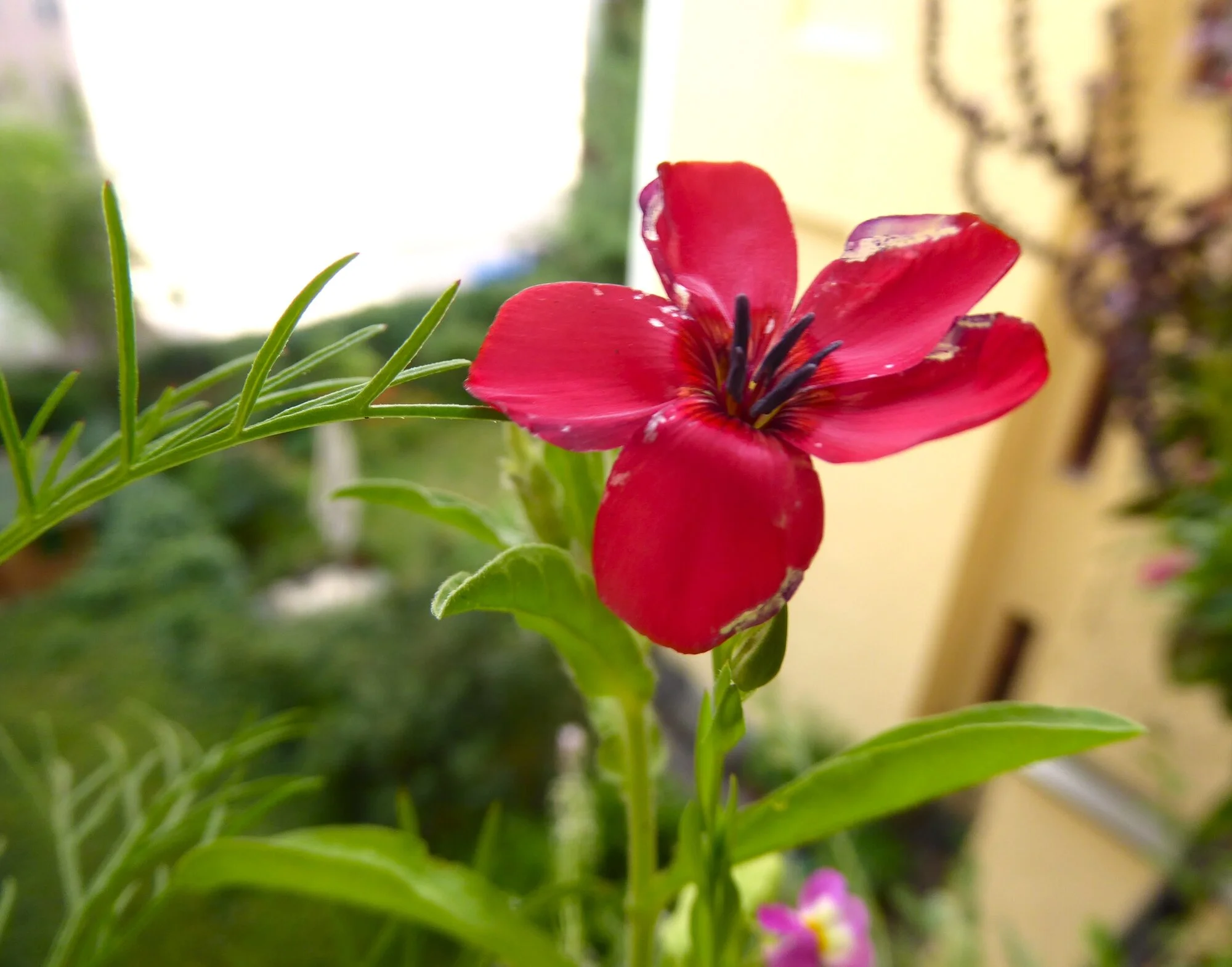 P1250696.webp