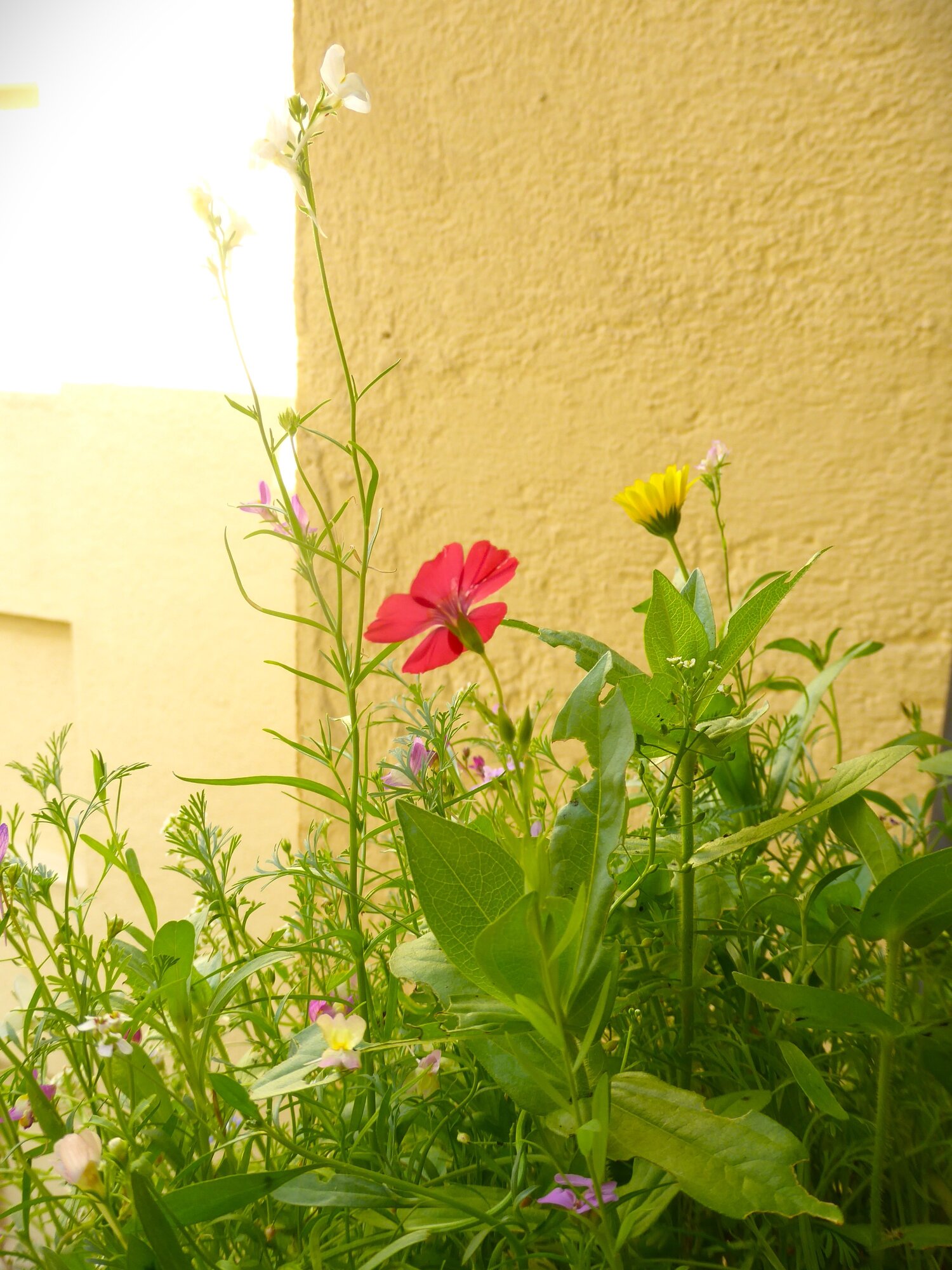 P1250740.JPG
