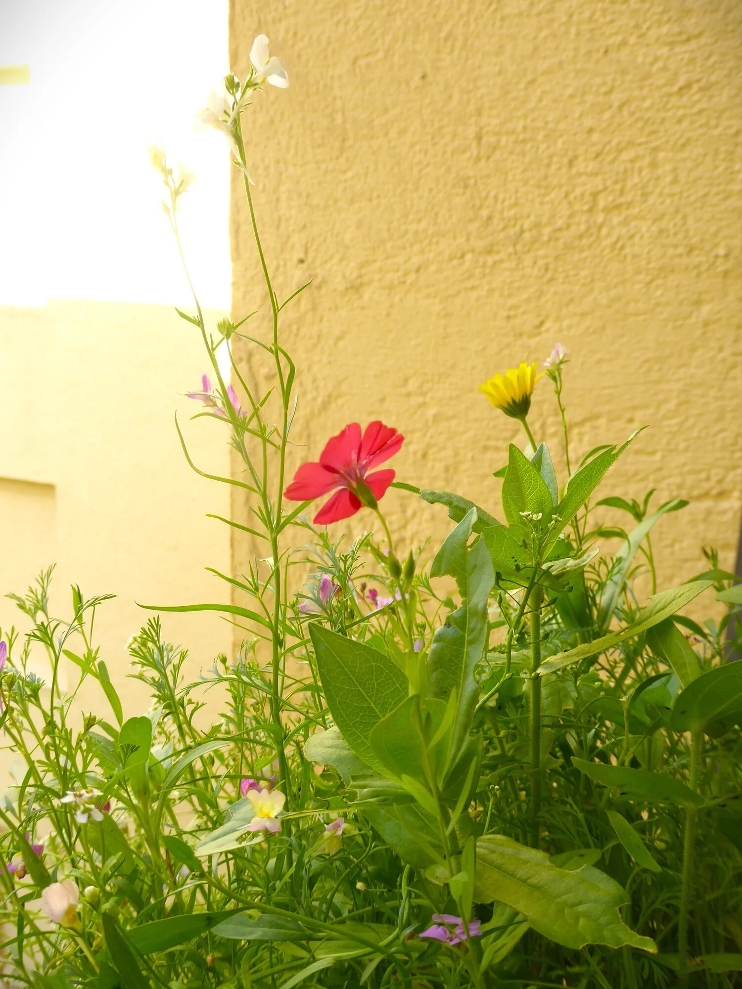 P1250740.JPG