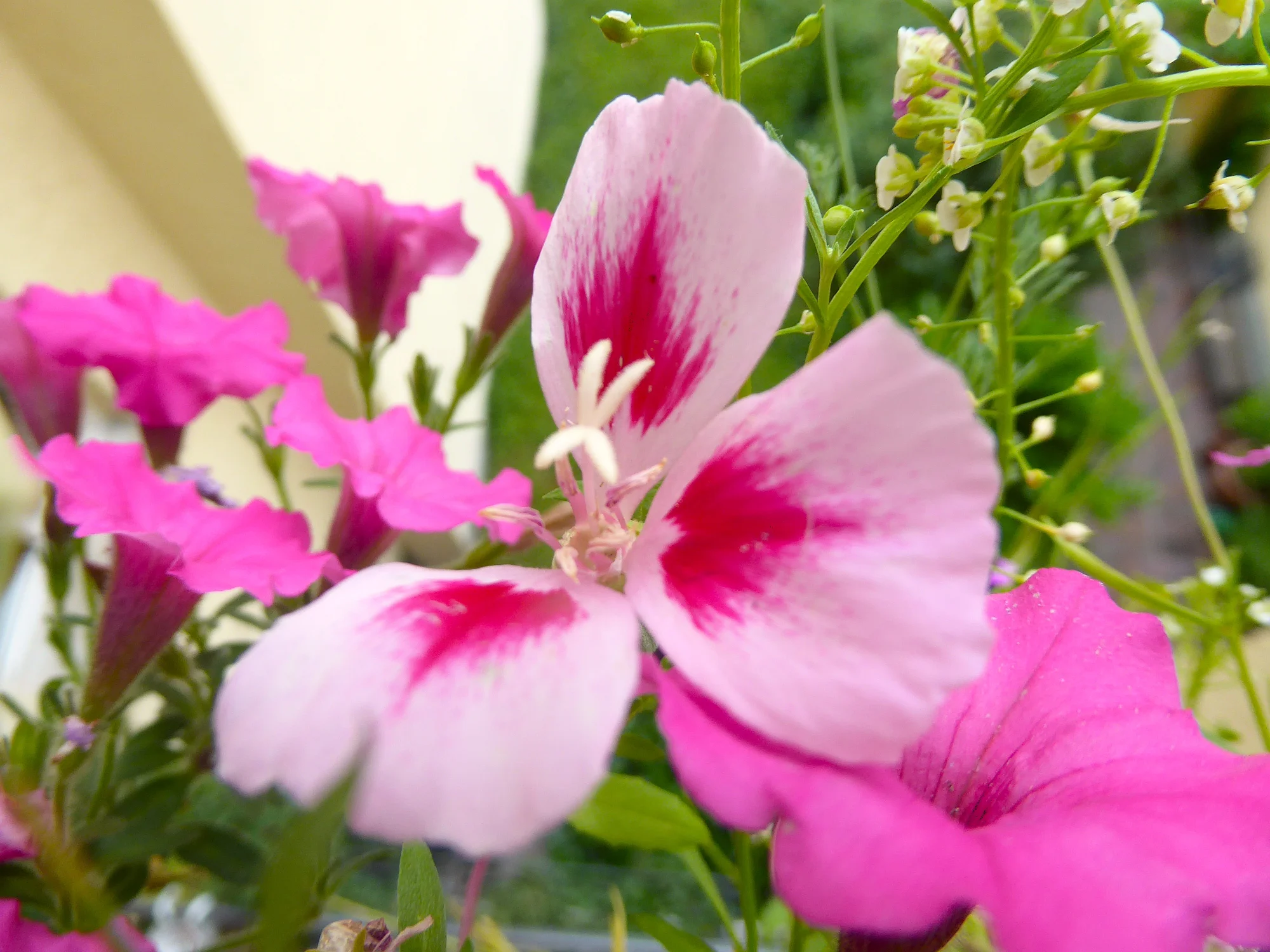 P1250787.webp