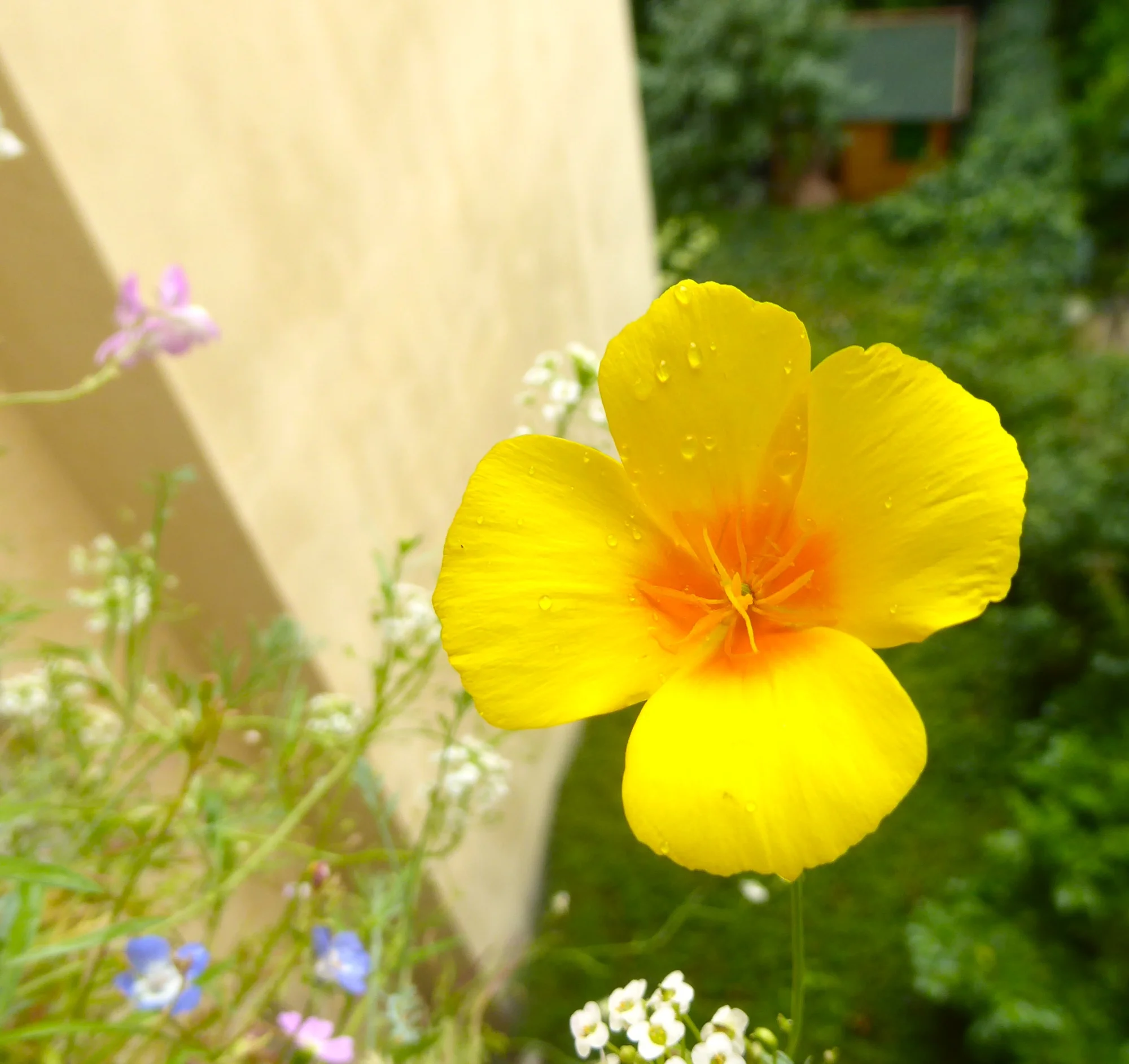 P1250800.webp