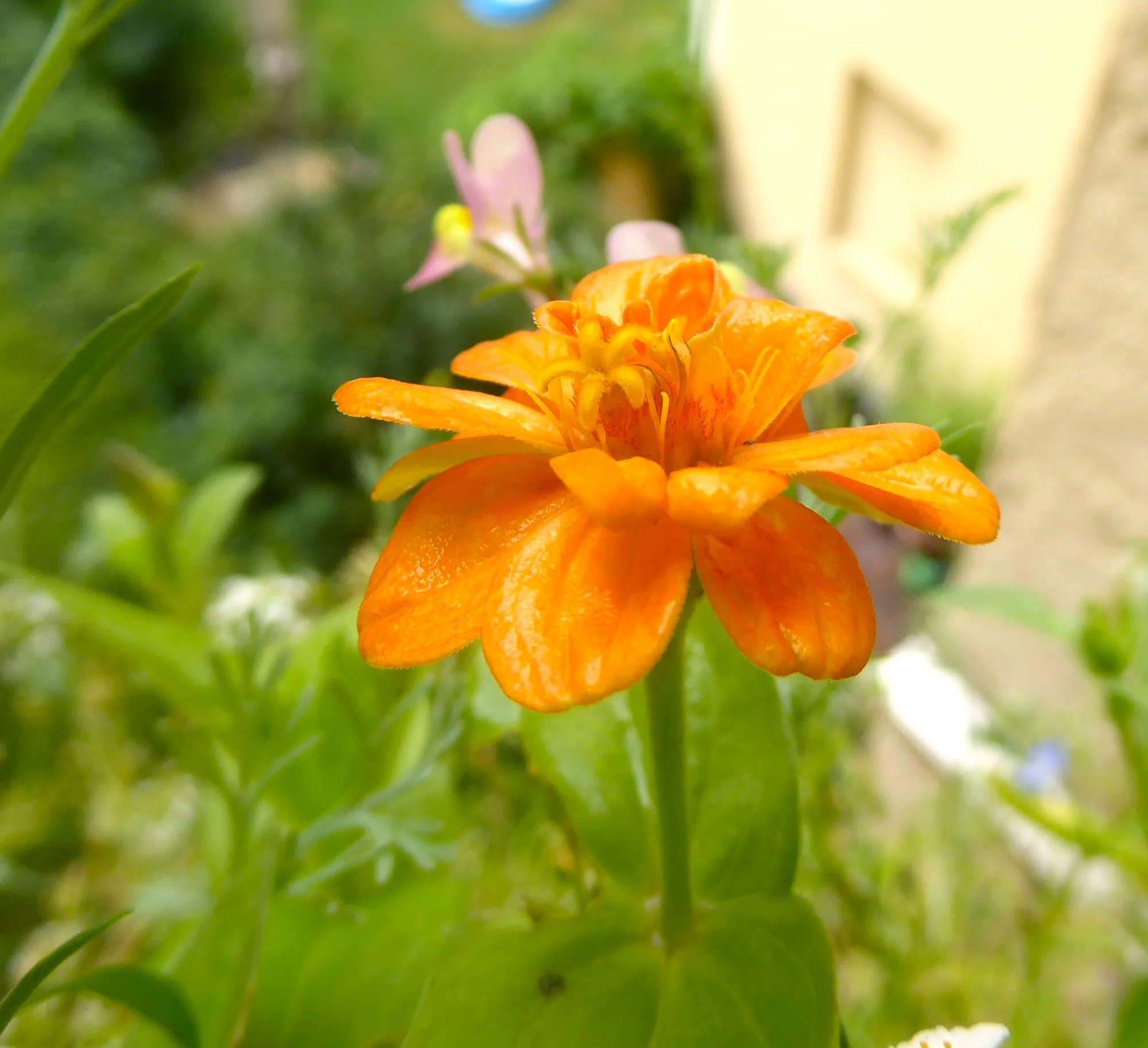 P1250802.webp