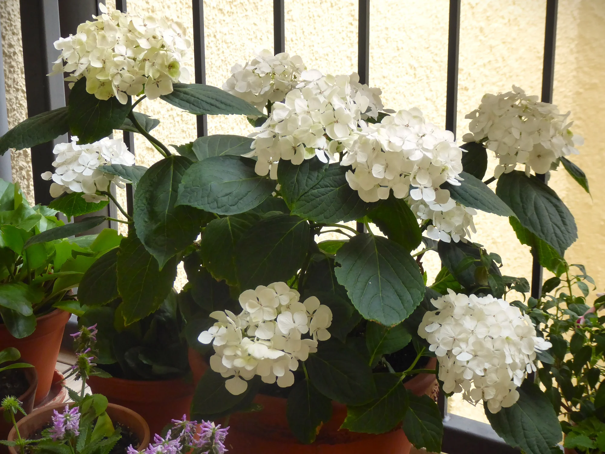 P1250814.webp