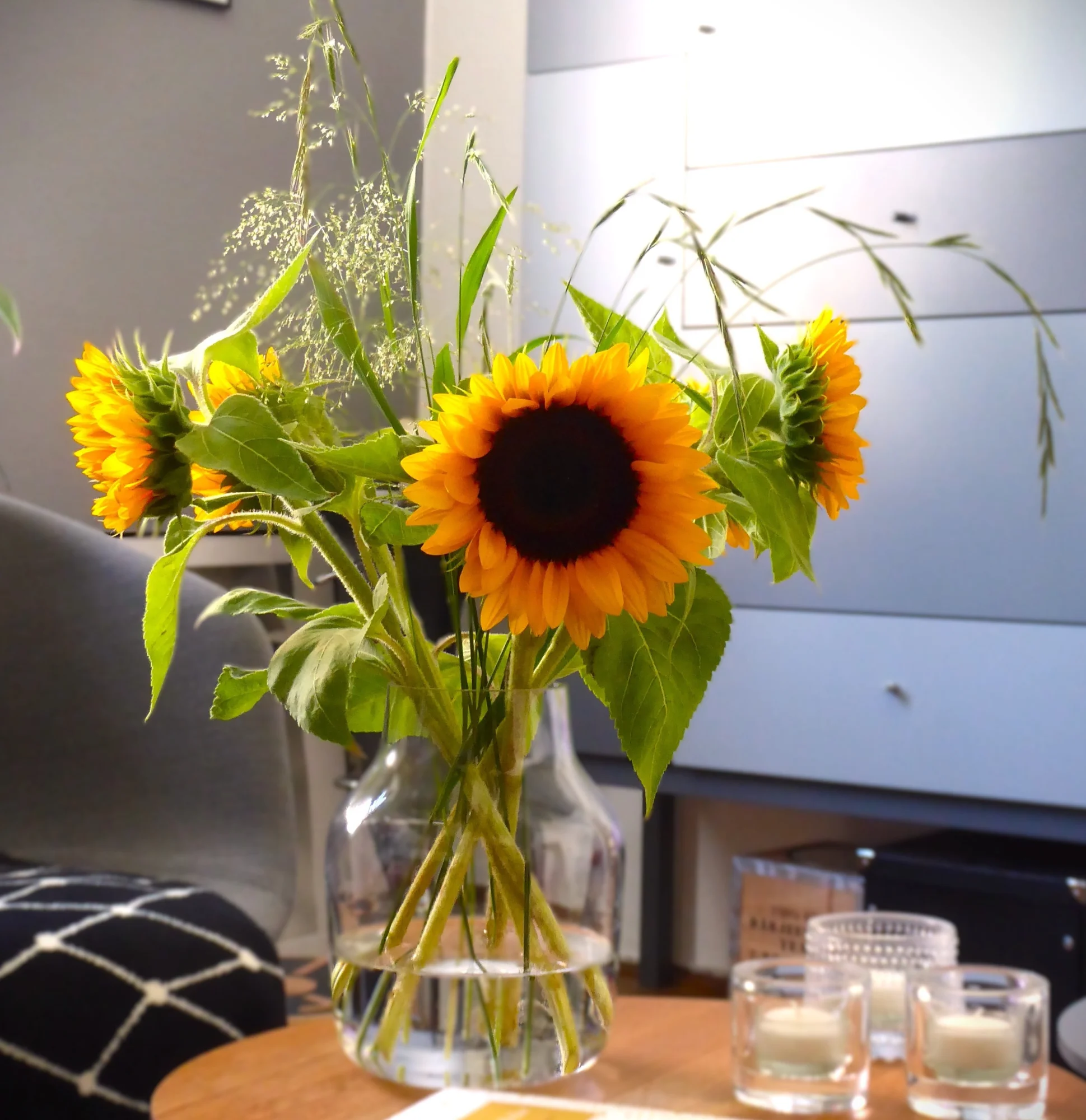P1250836.webp