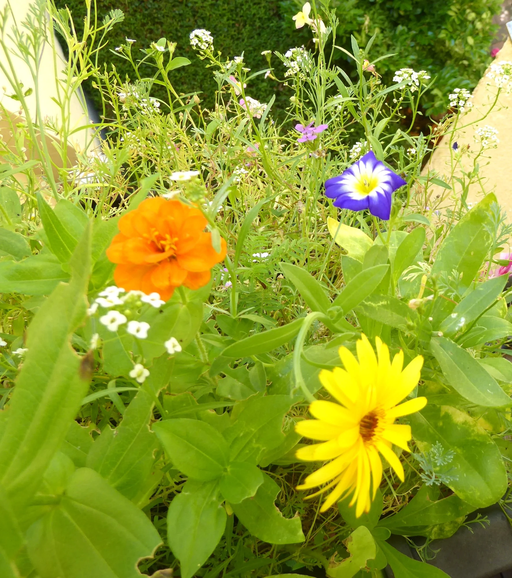 P1250839.webp