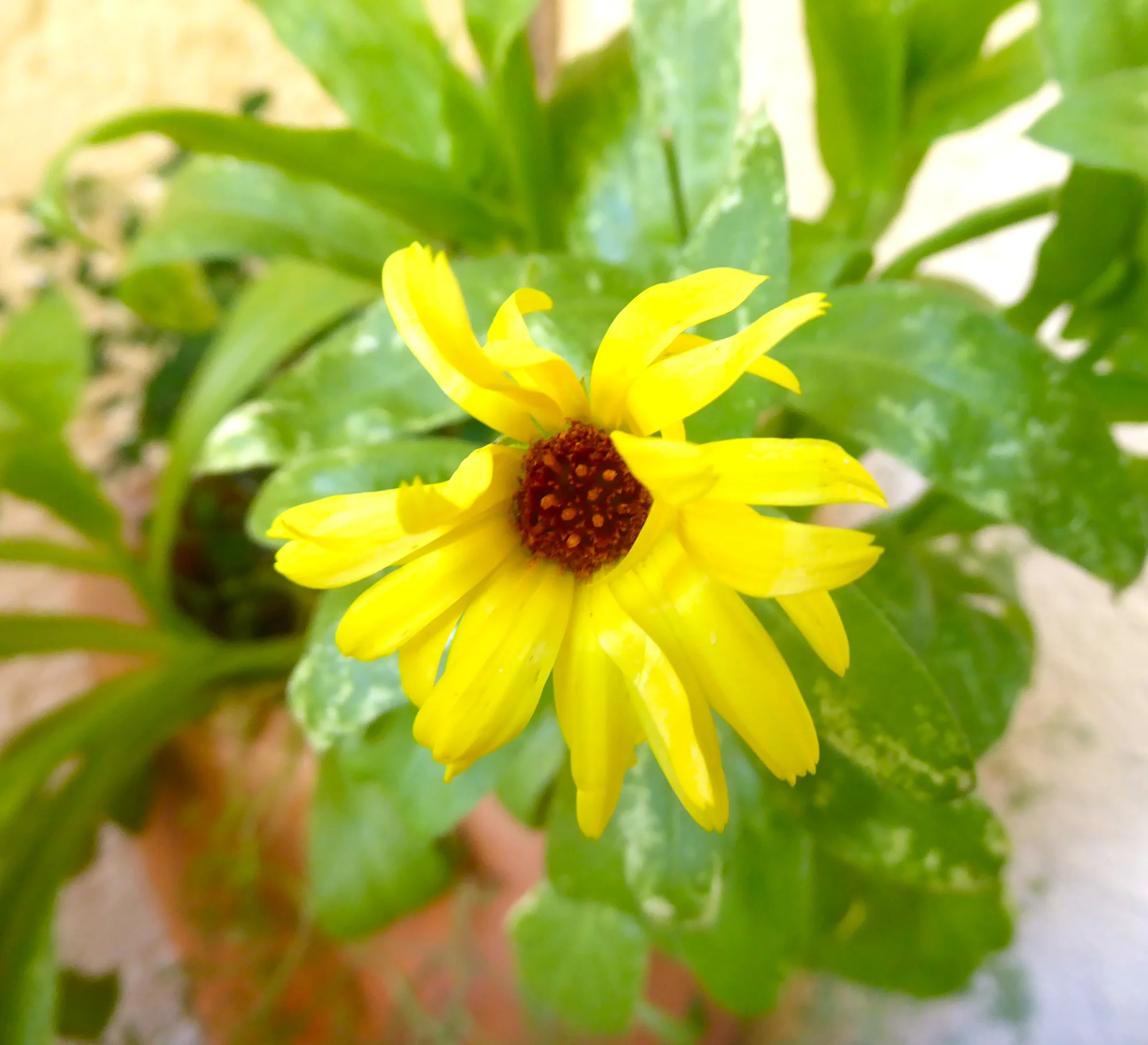 P1250878.webp