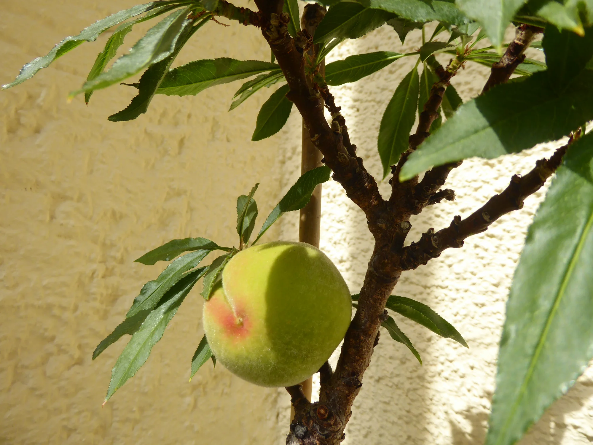 P1250901.webp