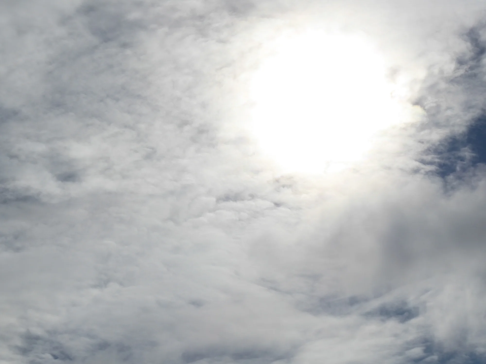 P1250915.webp