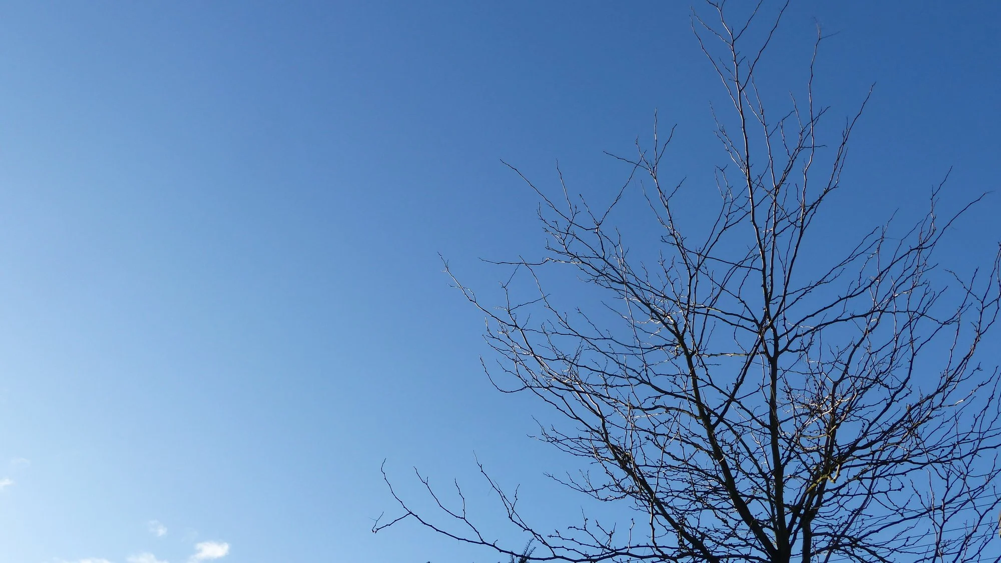 P1260319.webp