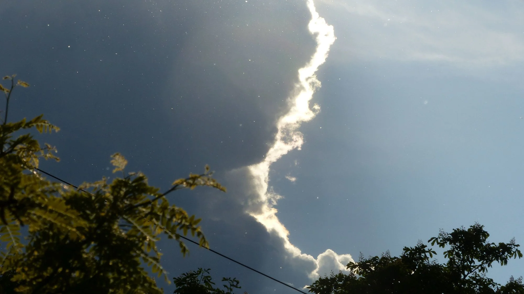 P1290085.webp