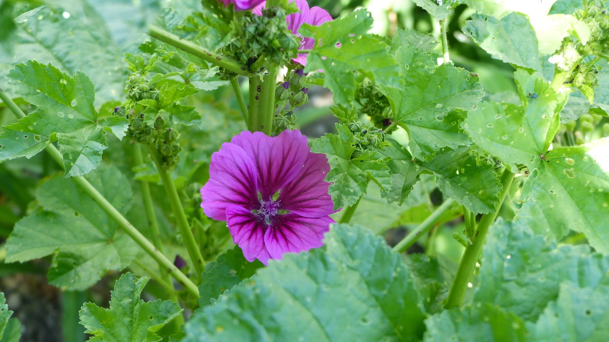 P1290316.webp