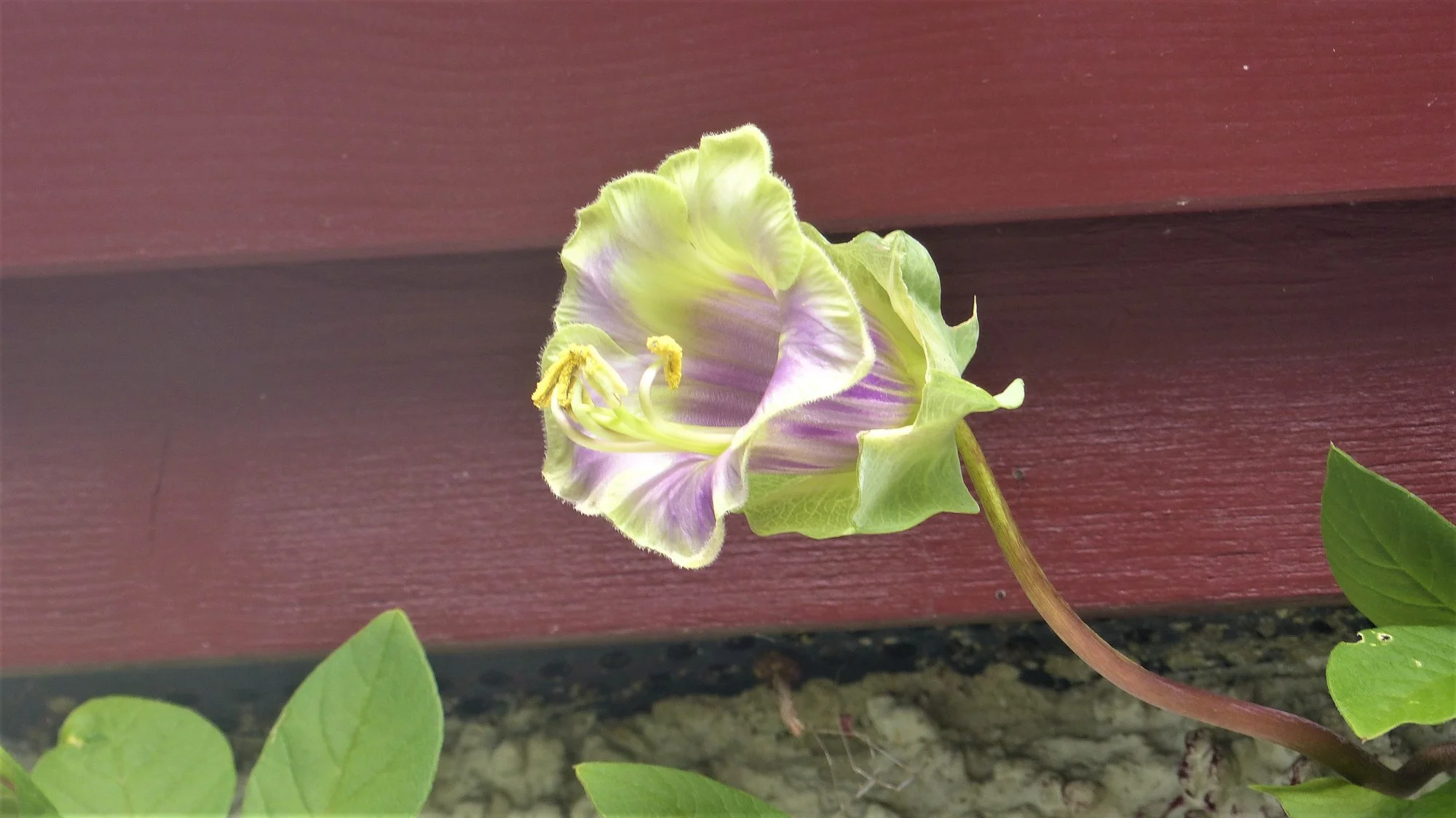 P1310230.webp