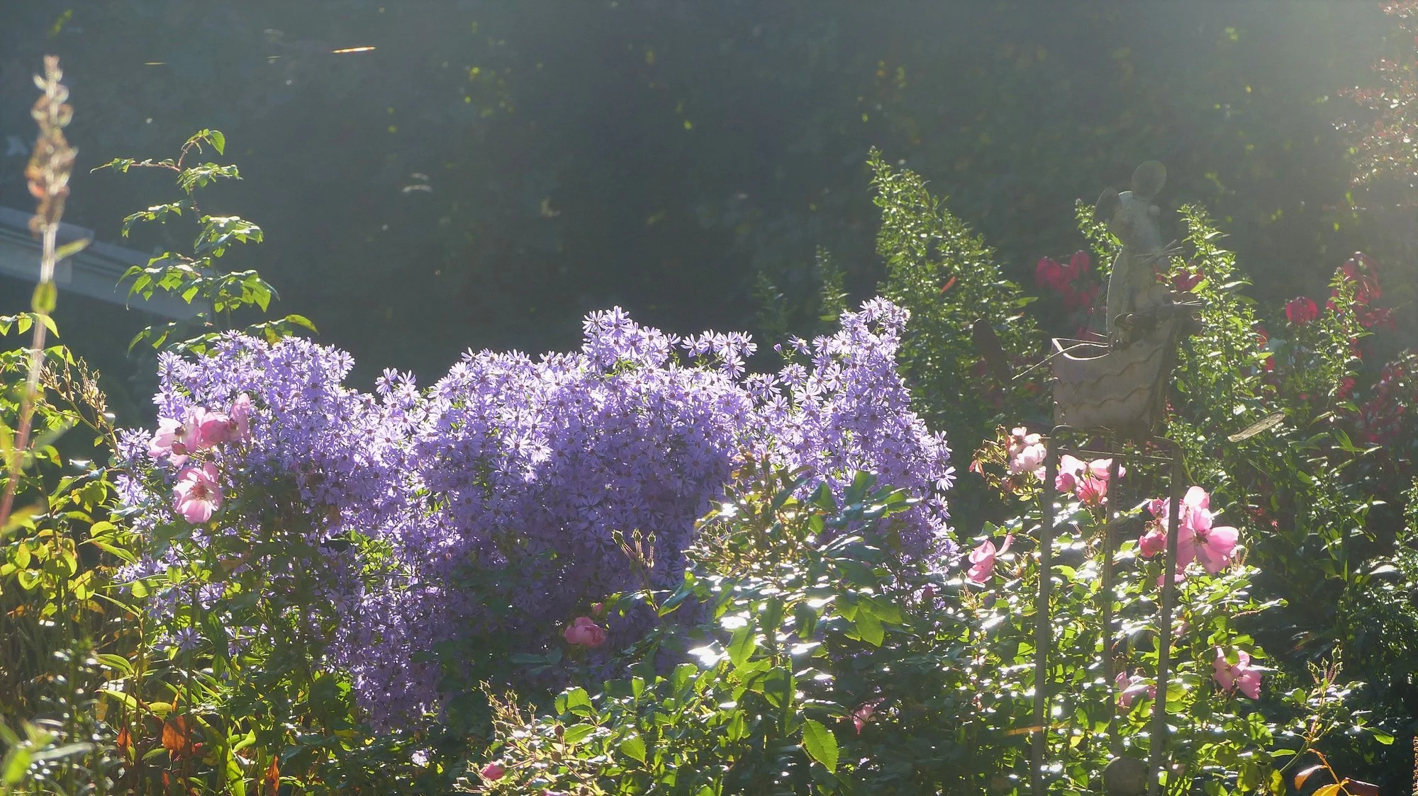 P1310841.webp