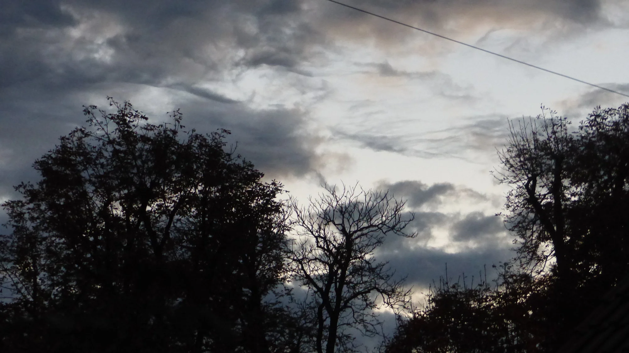 P1310987.webp