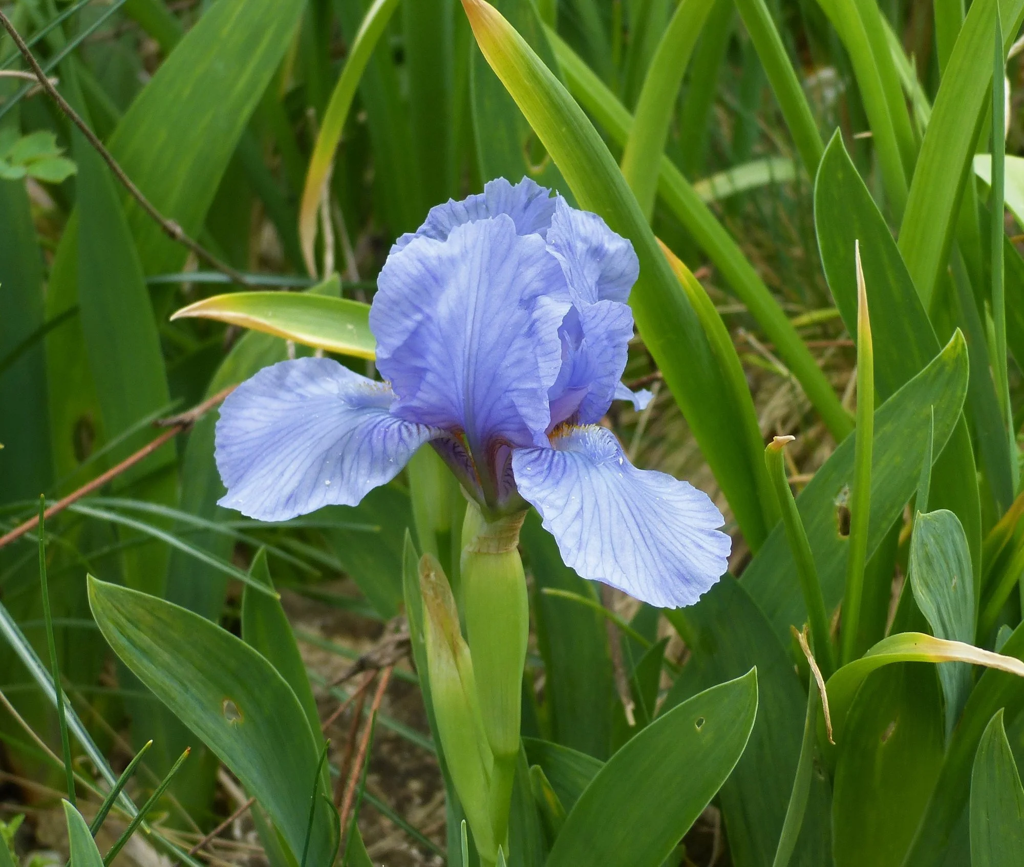 P1330535 (2).webp