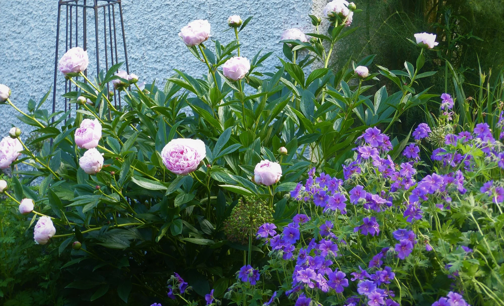 P1350195 (2).webp