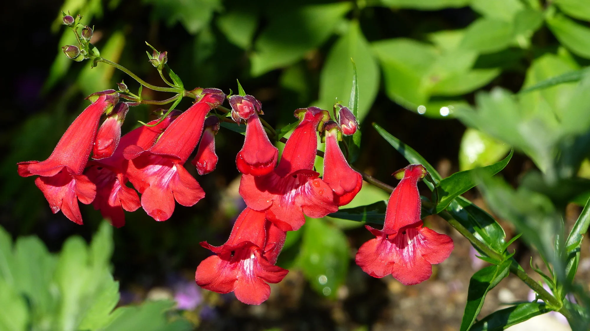 P1360194.webp