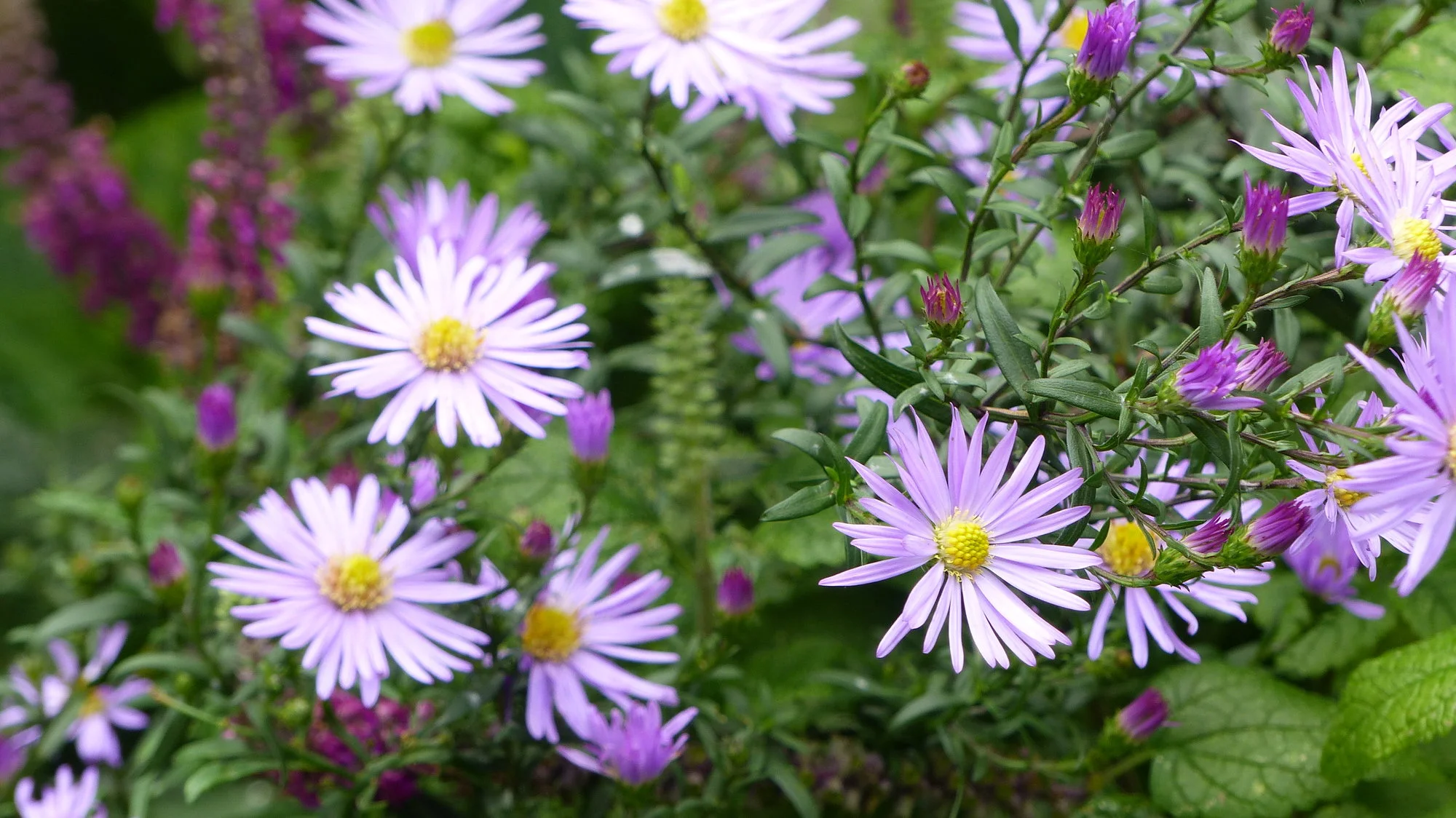 P1360856.webp