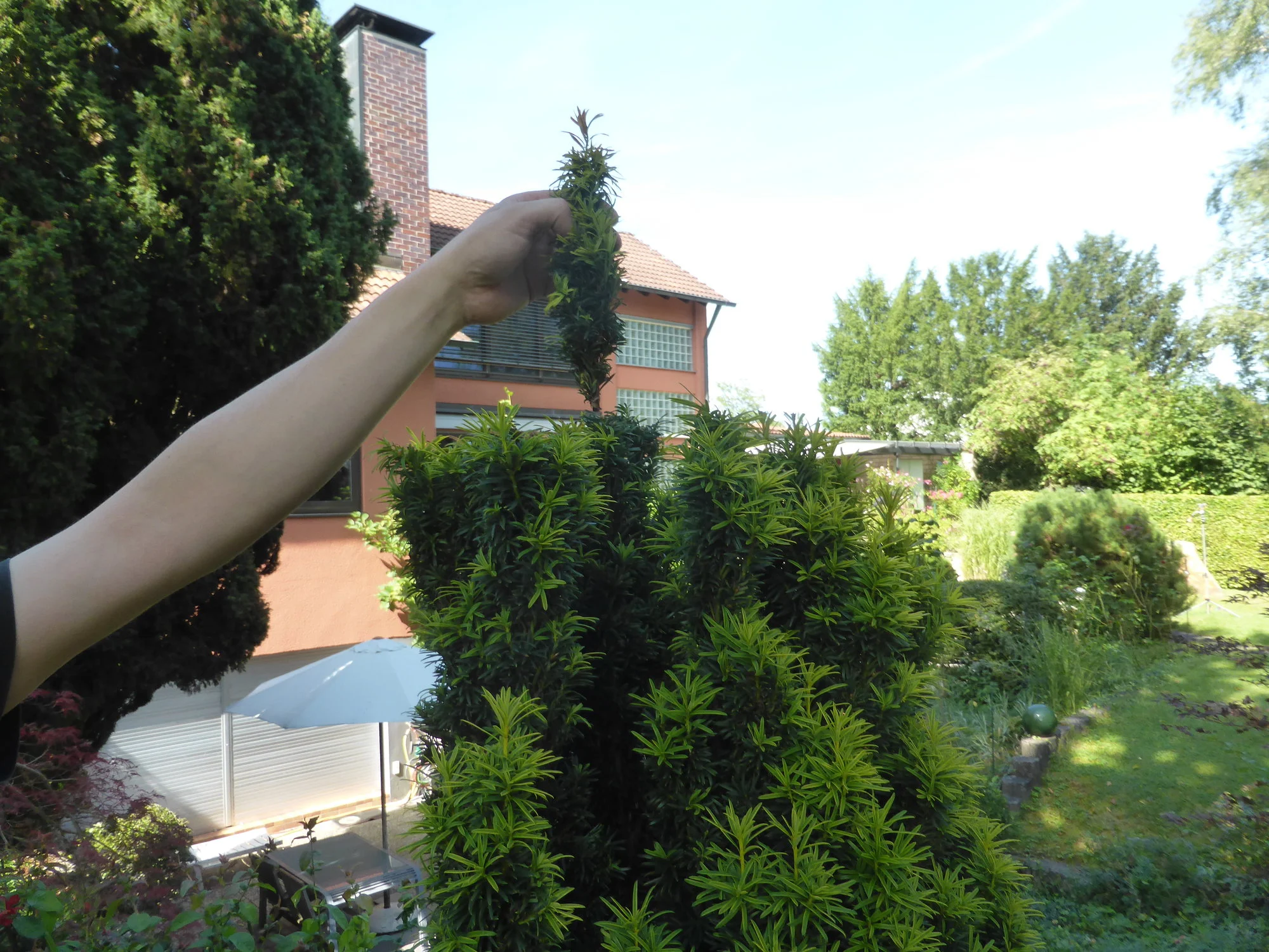 P1500720.webp