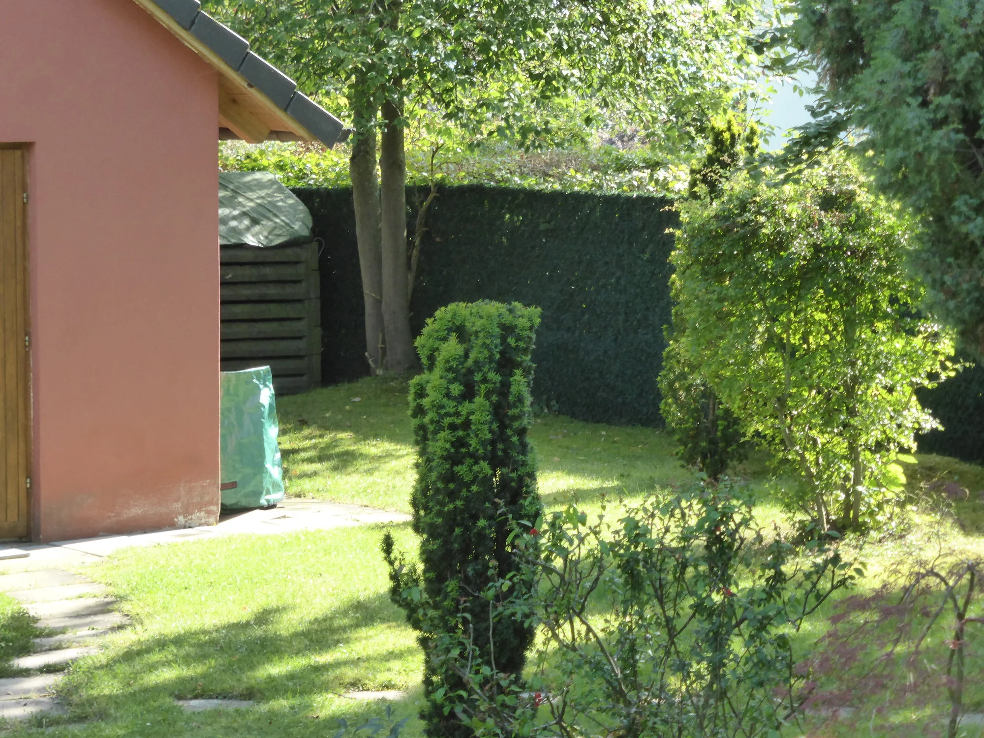 P1500729.webp