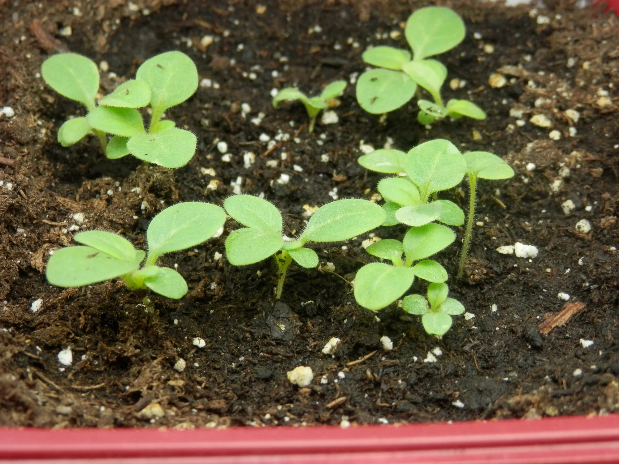 P2280031.webp