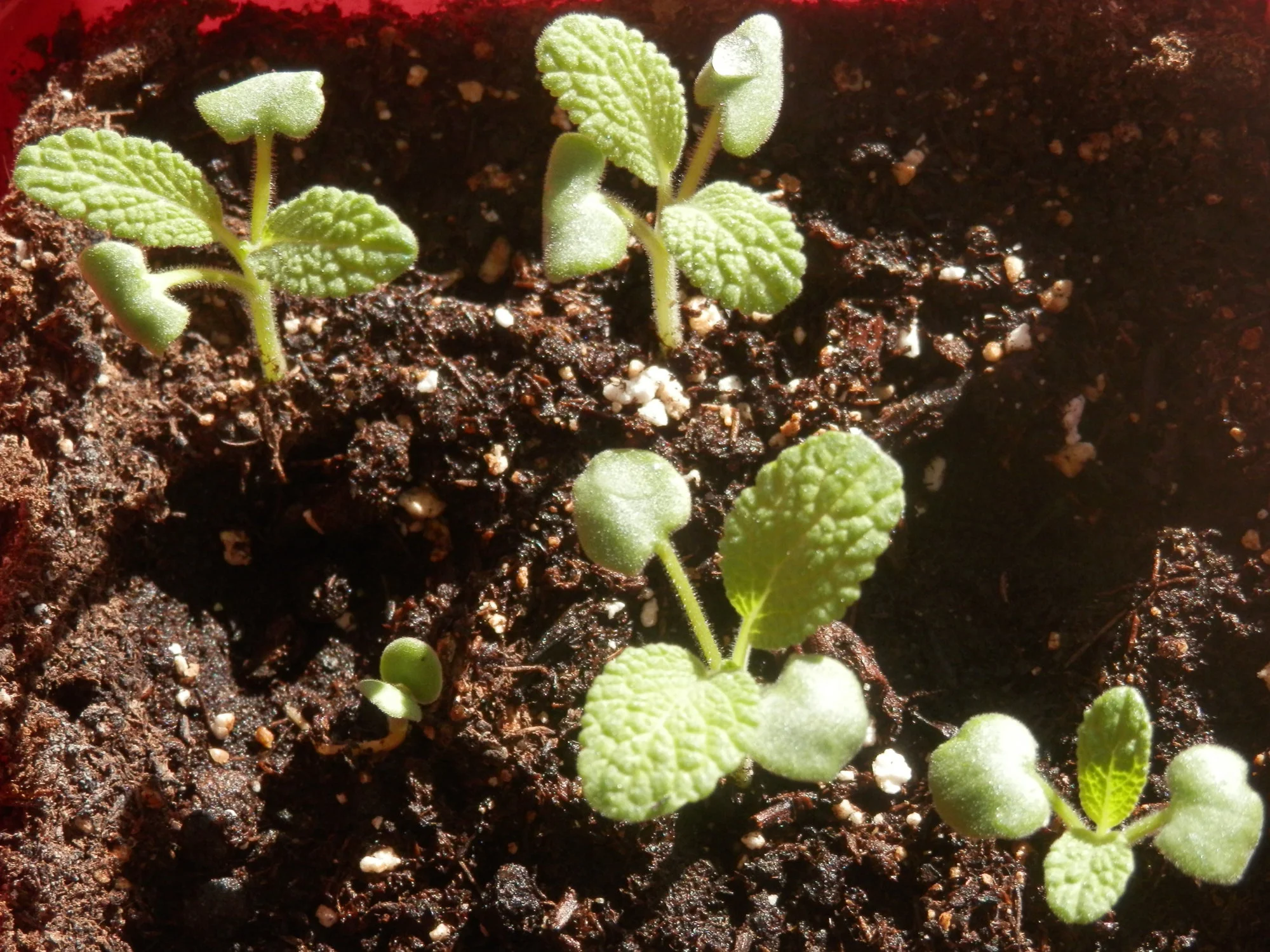 P2280032.webp