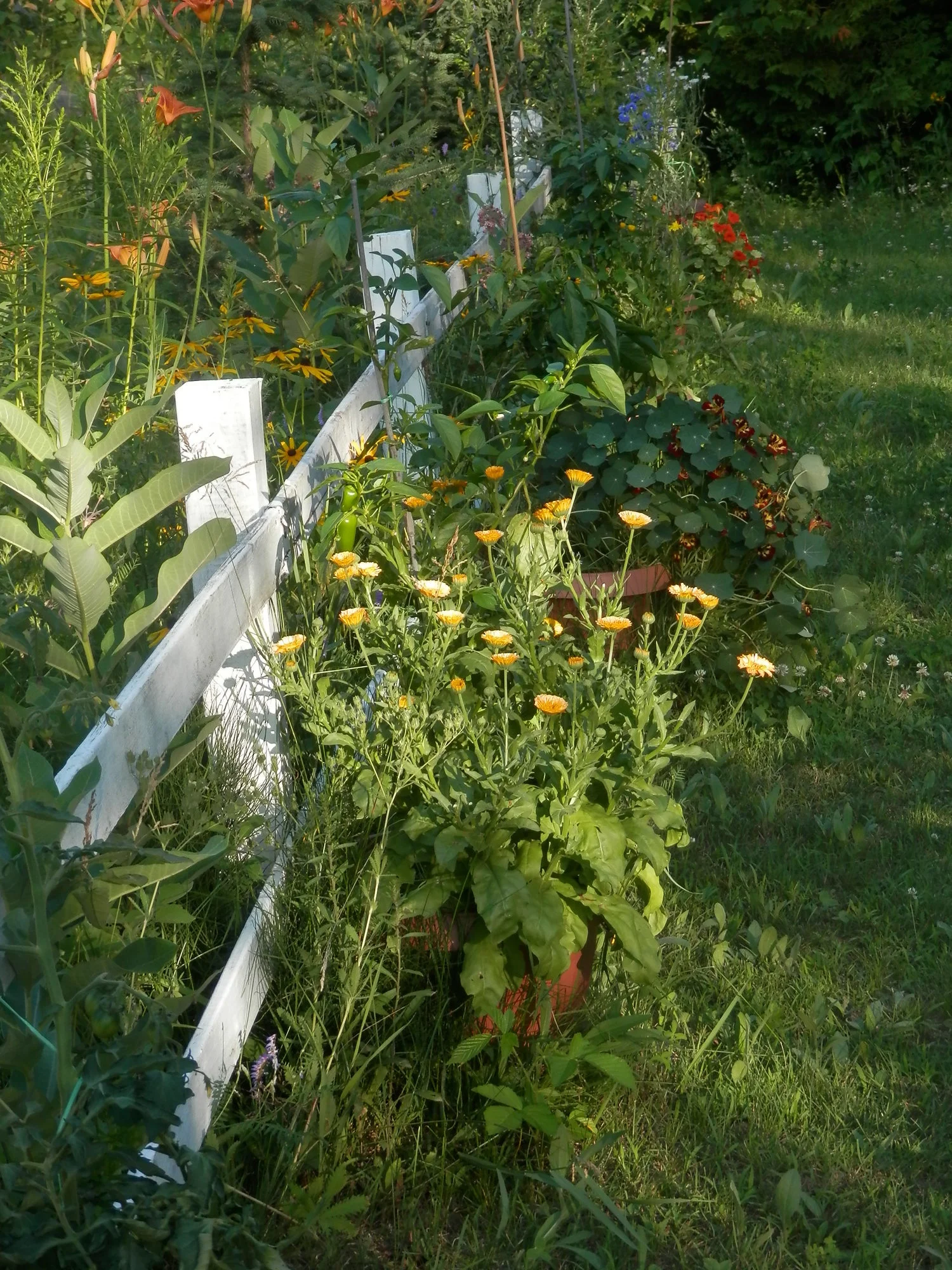 P7200042.webp