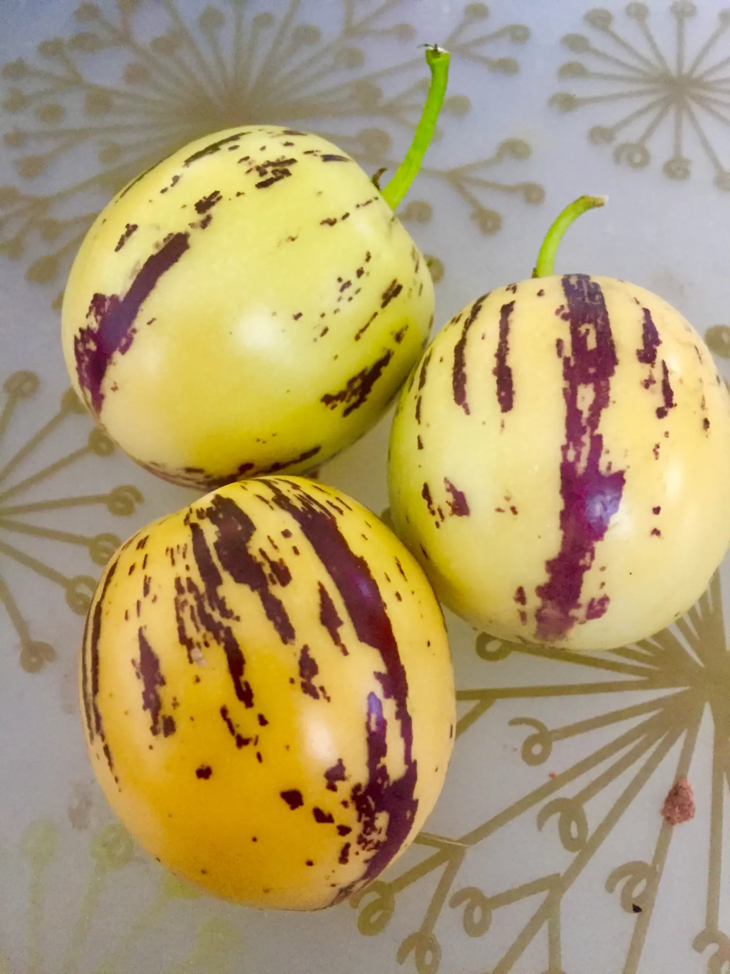 Pepinos.webp