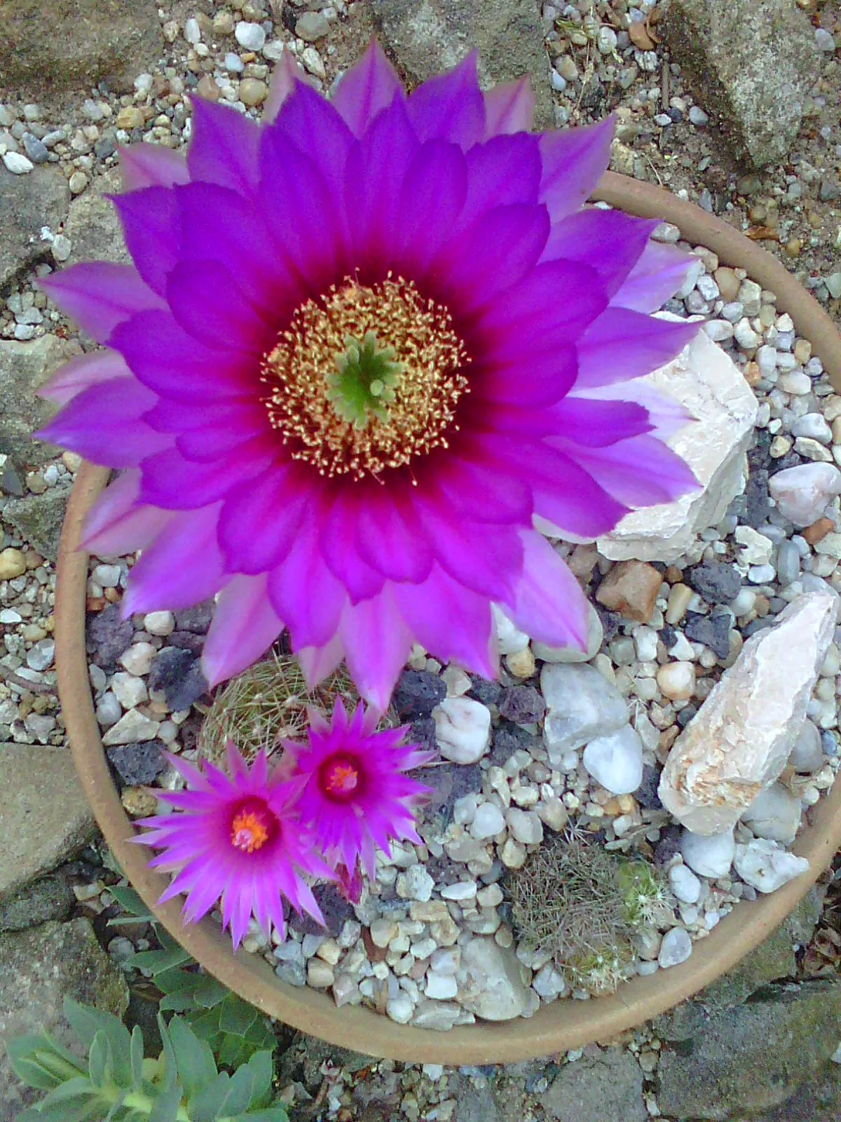Photo0075.webp
