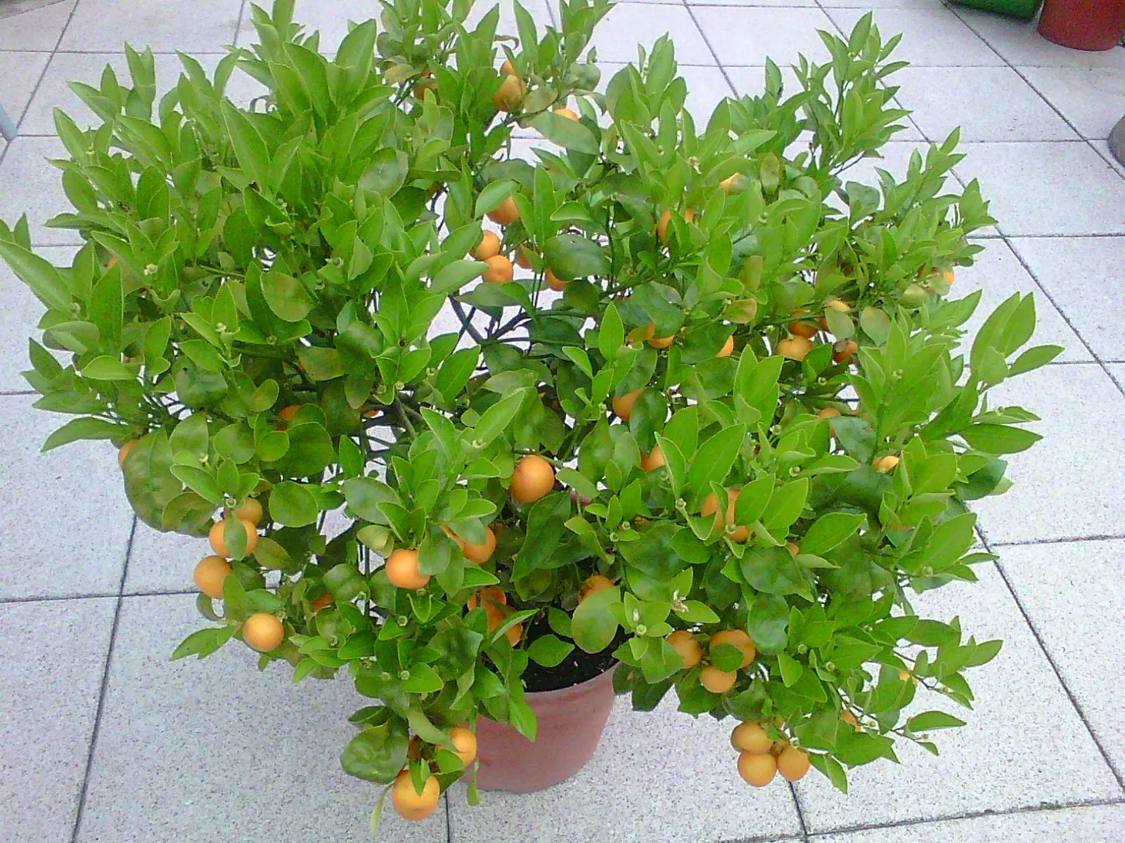 Photo0592.webp