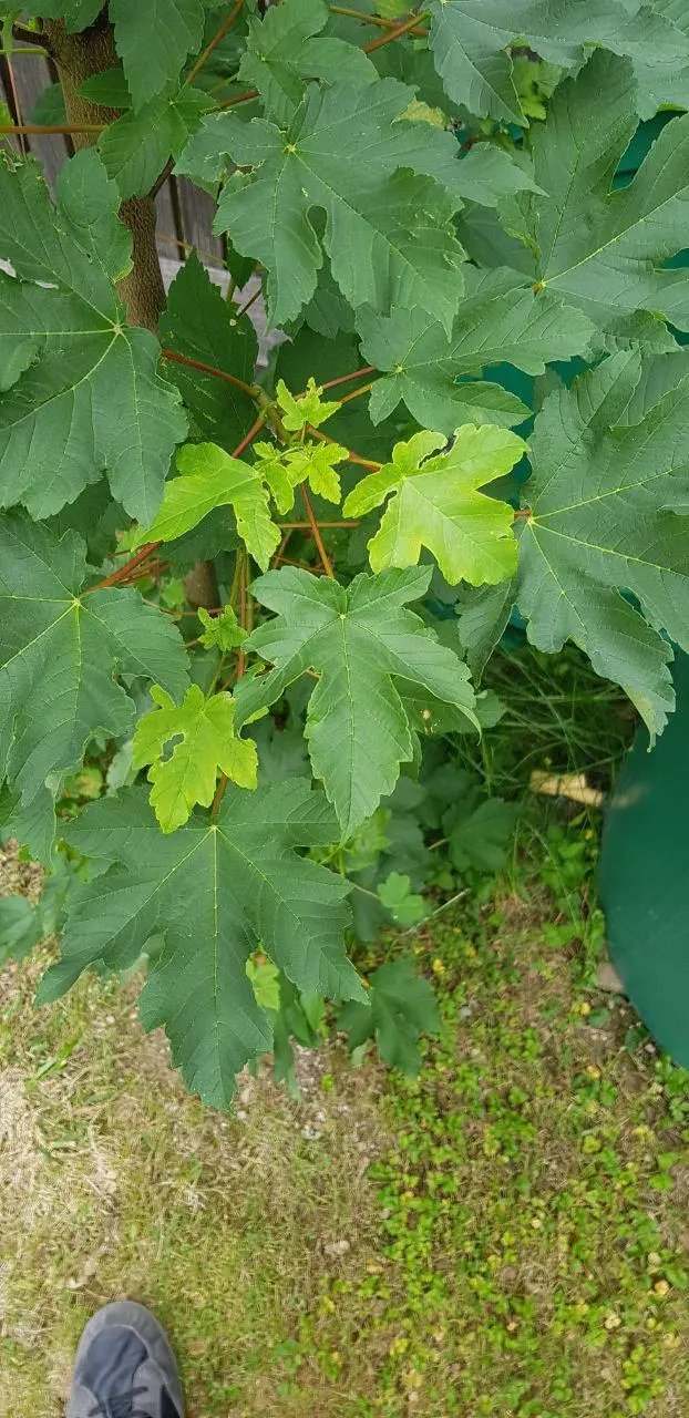 photo_2019-06-08_16-24-38.webp