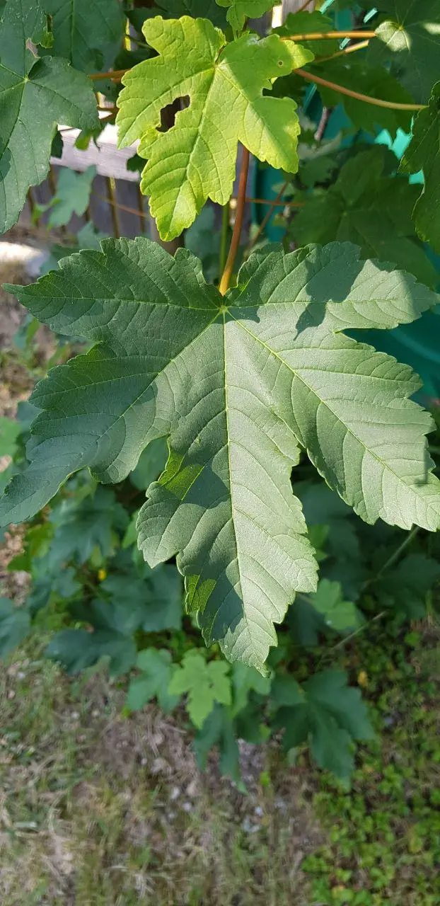photo_2019-06-08_16-38-44.webp