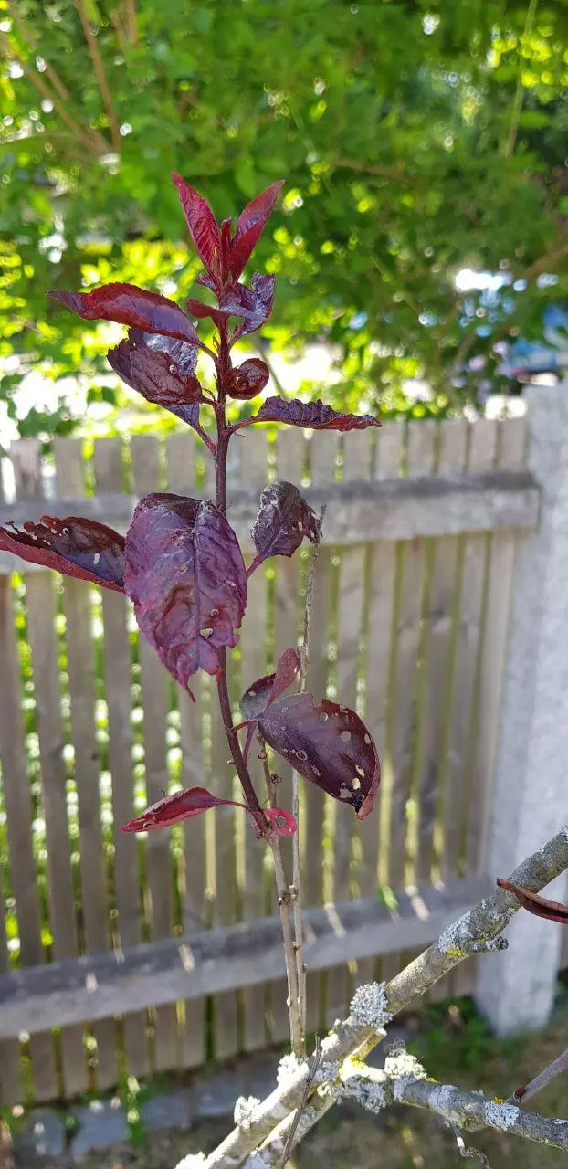 photo_2019-06-09_22-11-20 (3).webp