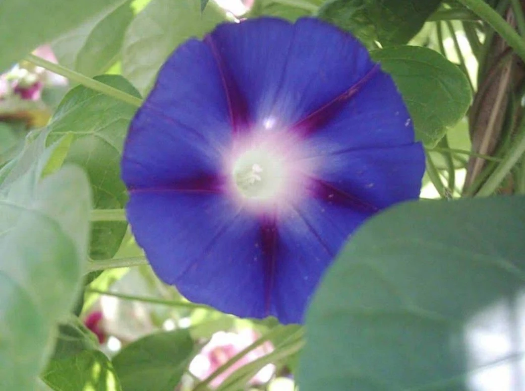 PicsArt_02-28-06.10.09.webp