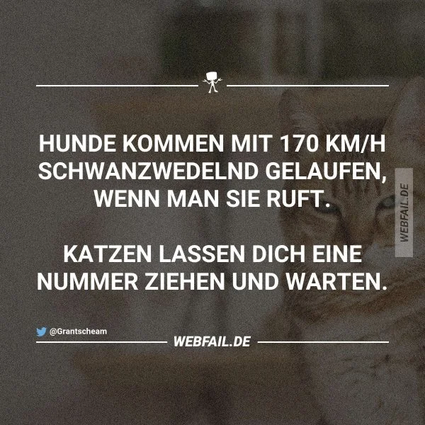 post2.webp