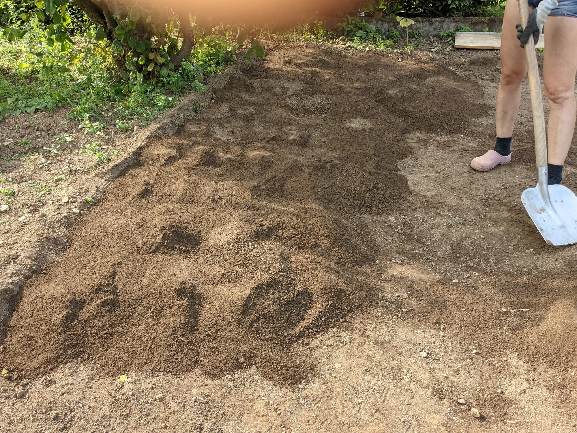 Rasen Vorbereitung Wieviel & welchen Sand beimischen, auch Humus/Mulch?