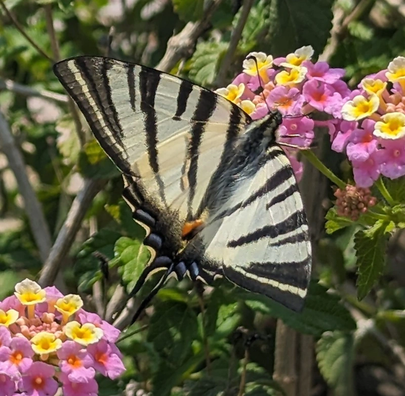 PXL_20240501_080640632.jpg