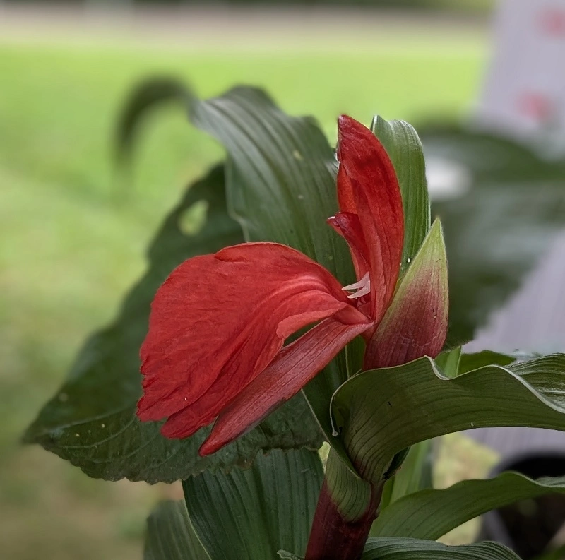 PXL_20240804_074252861.MP~2.webp