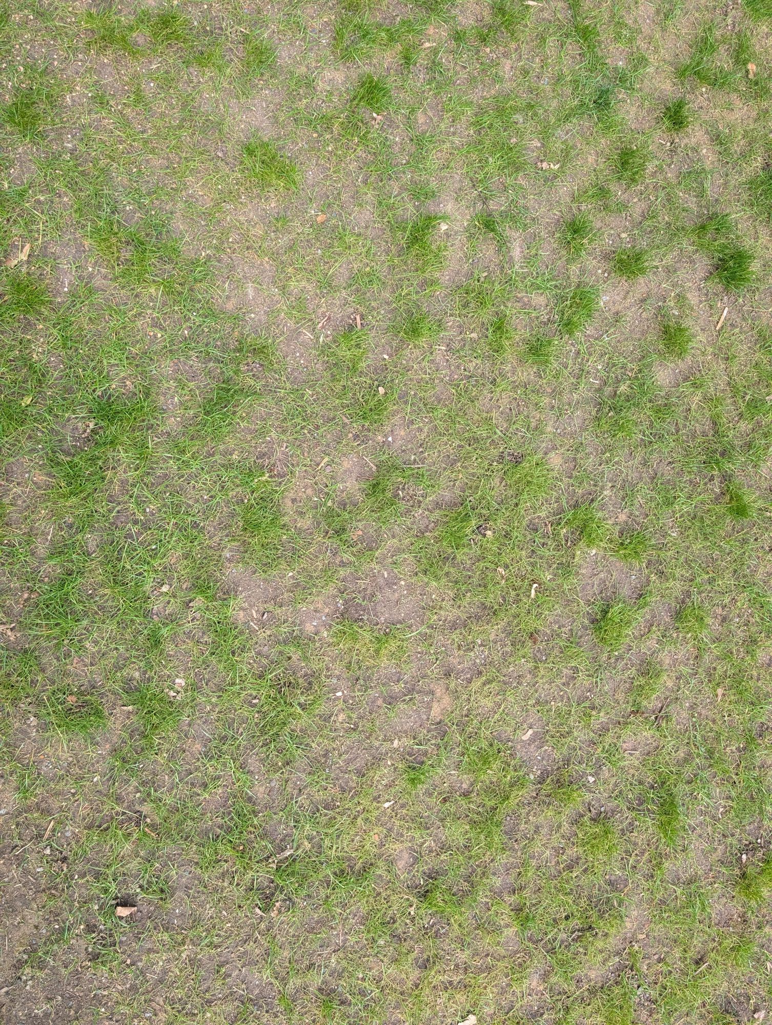 PXL_20250324_142054781.jpg