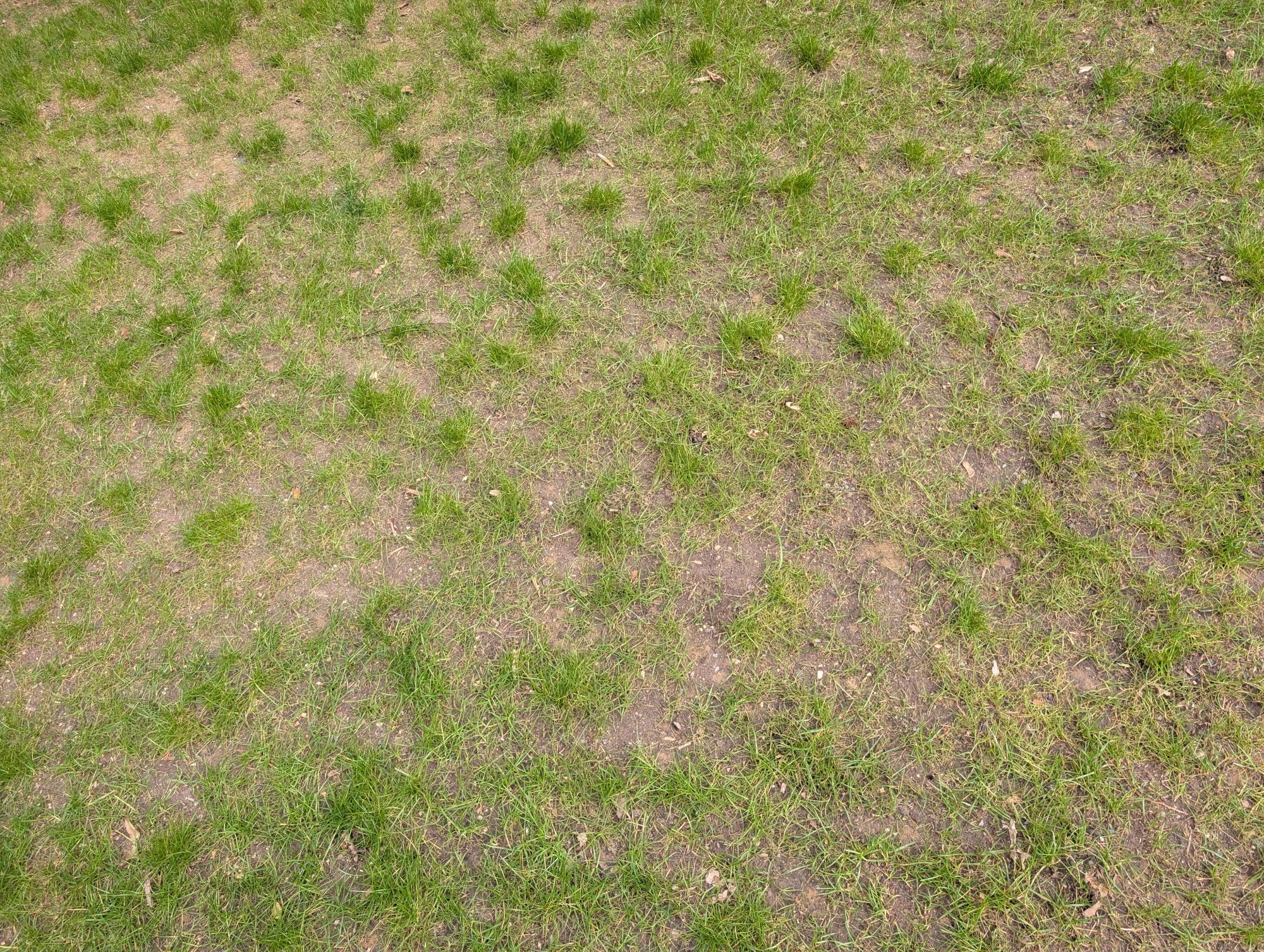 PXL_20250324_142100585.jpg