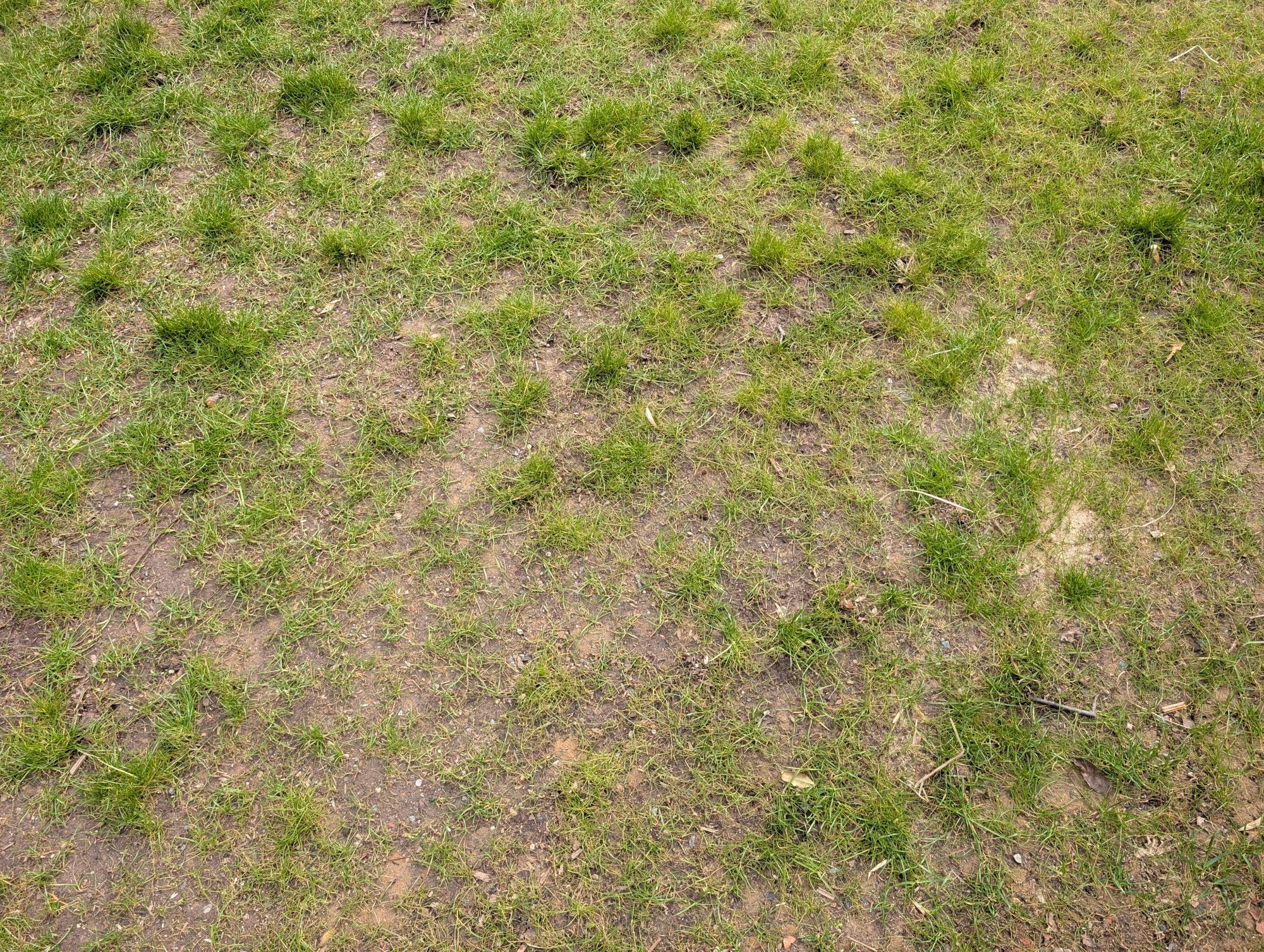 PXL_20250324_142104601.jpg